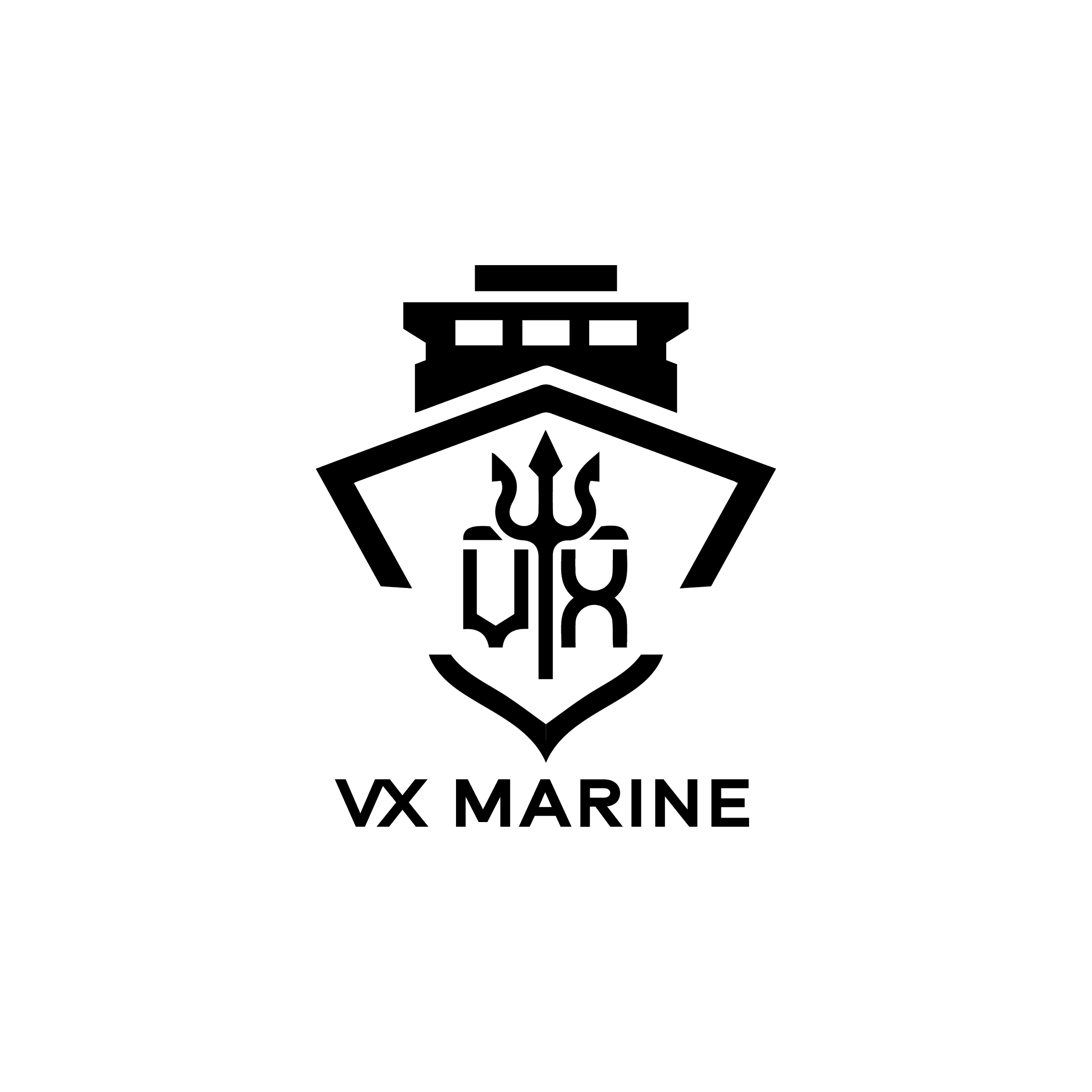VX Marine Logo