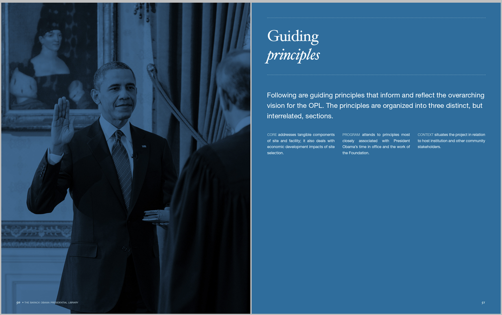 OPL guiding principles .png