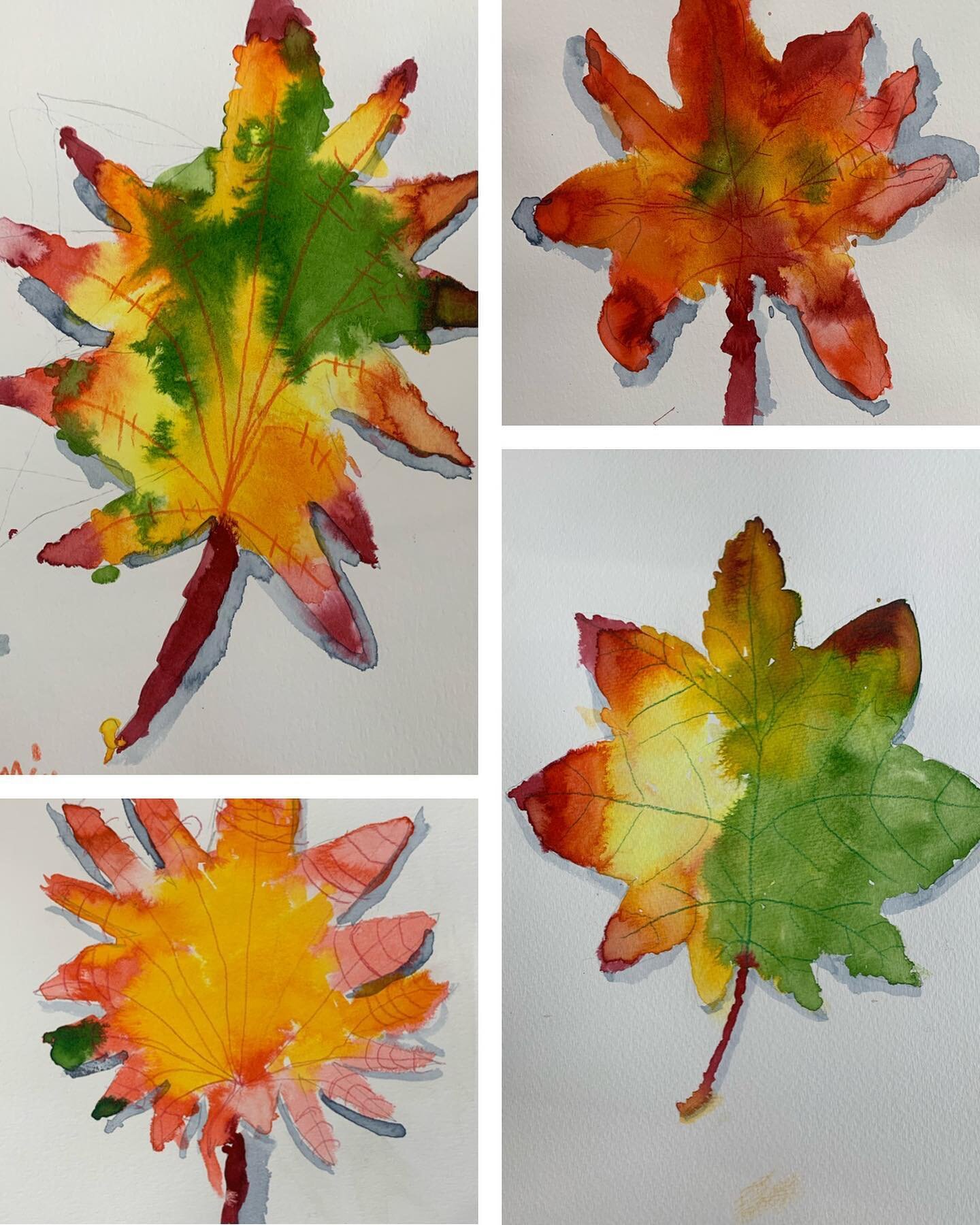 Some autumn projects at the art school. Happy fall everyone!
Colorful watercolor leaf studies by the 4,5, and 6 year olds. 
Jack-o-lantern stacks by the 6-8 year olds
Pinch pot pumpkin and gourd lanterns by the teens