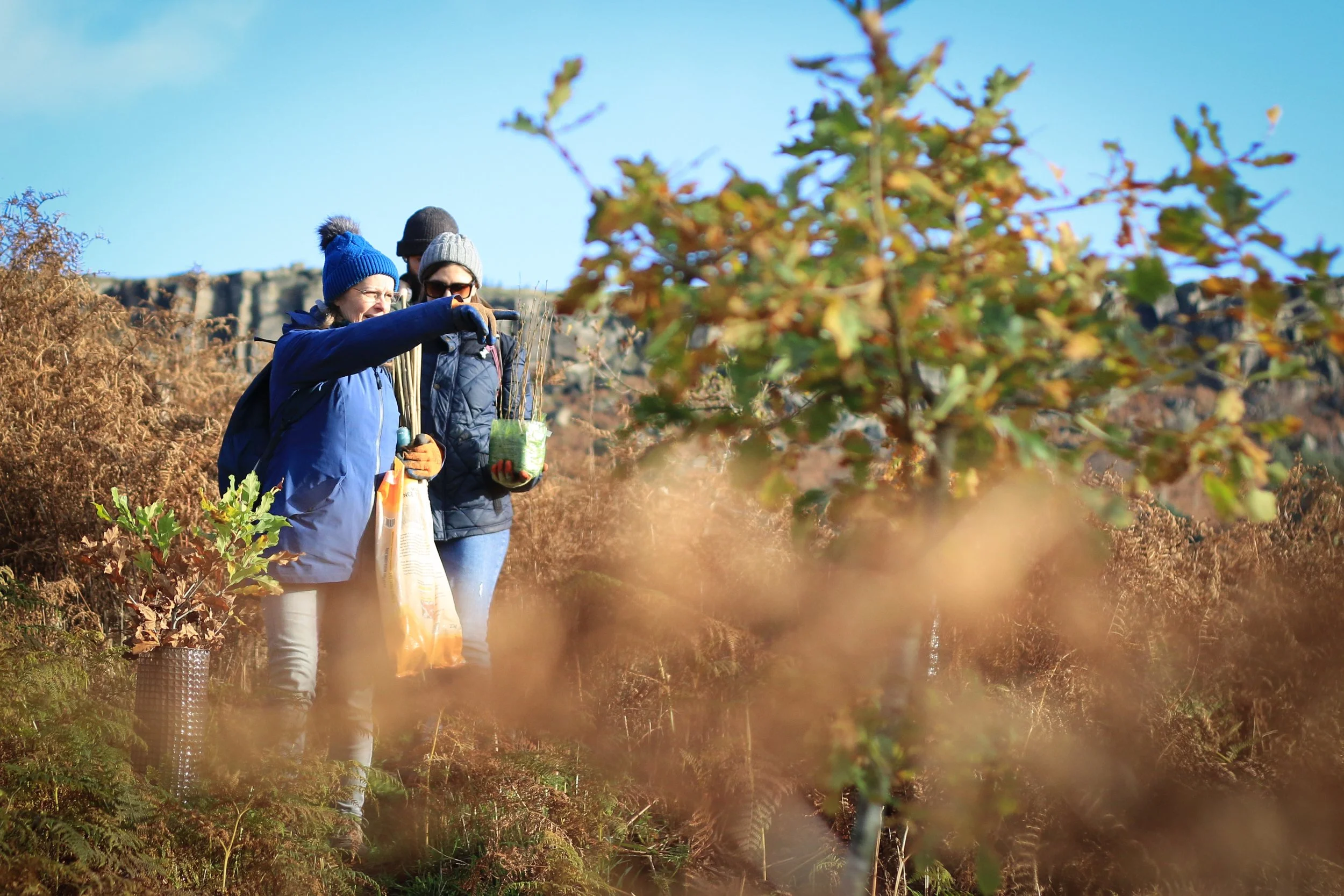 Tree planting PDNPA by Tom Marshall.jpg