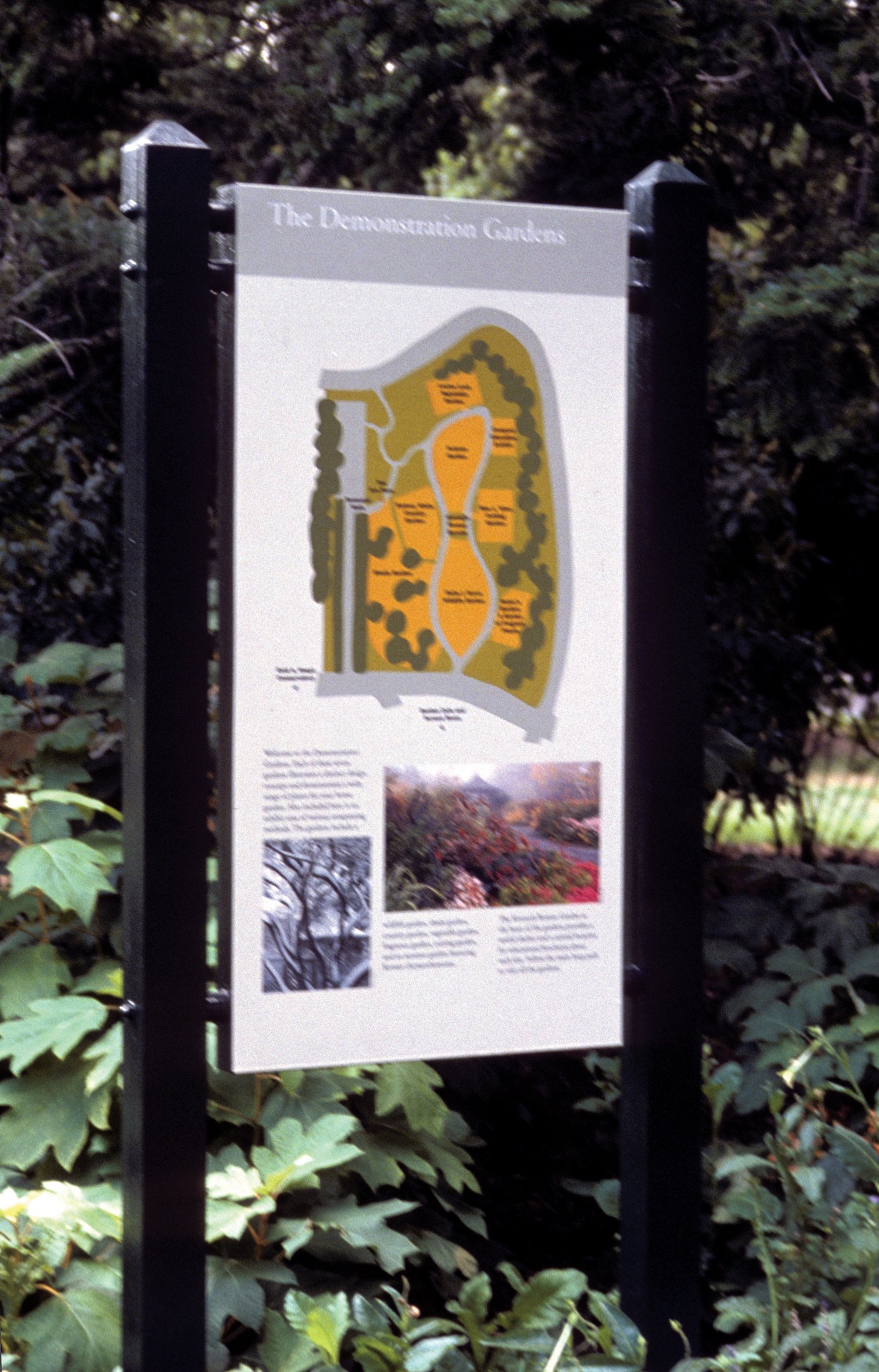 demo grdn map.jpg