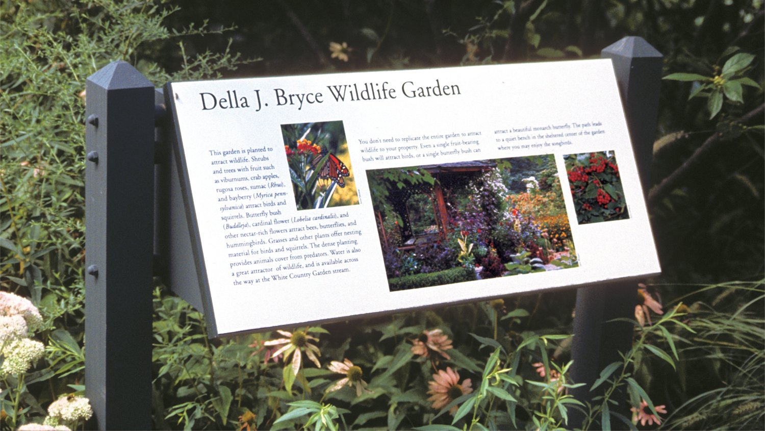 Bryce gardenB.jpg