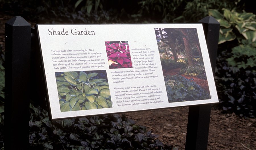 Shade garden.web.jpg