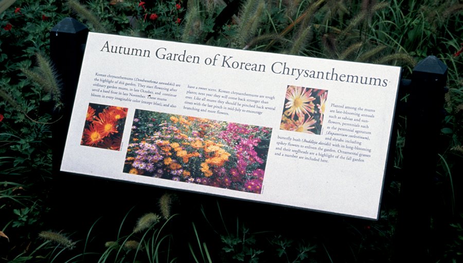 Autumn garden.web.jpg