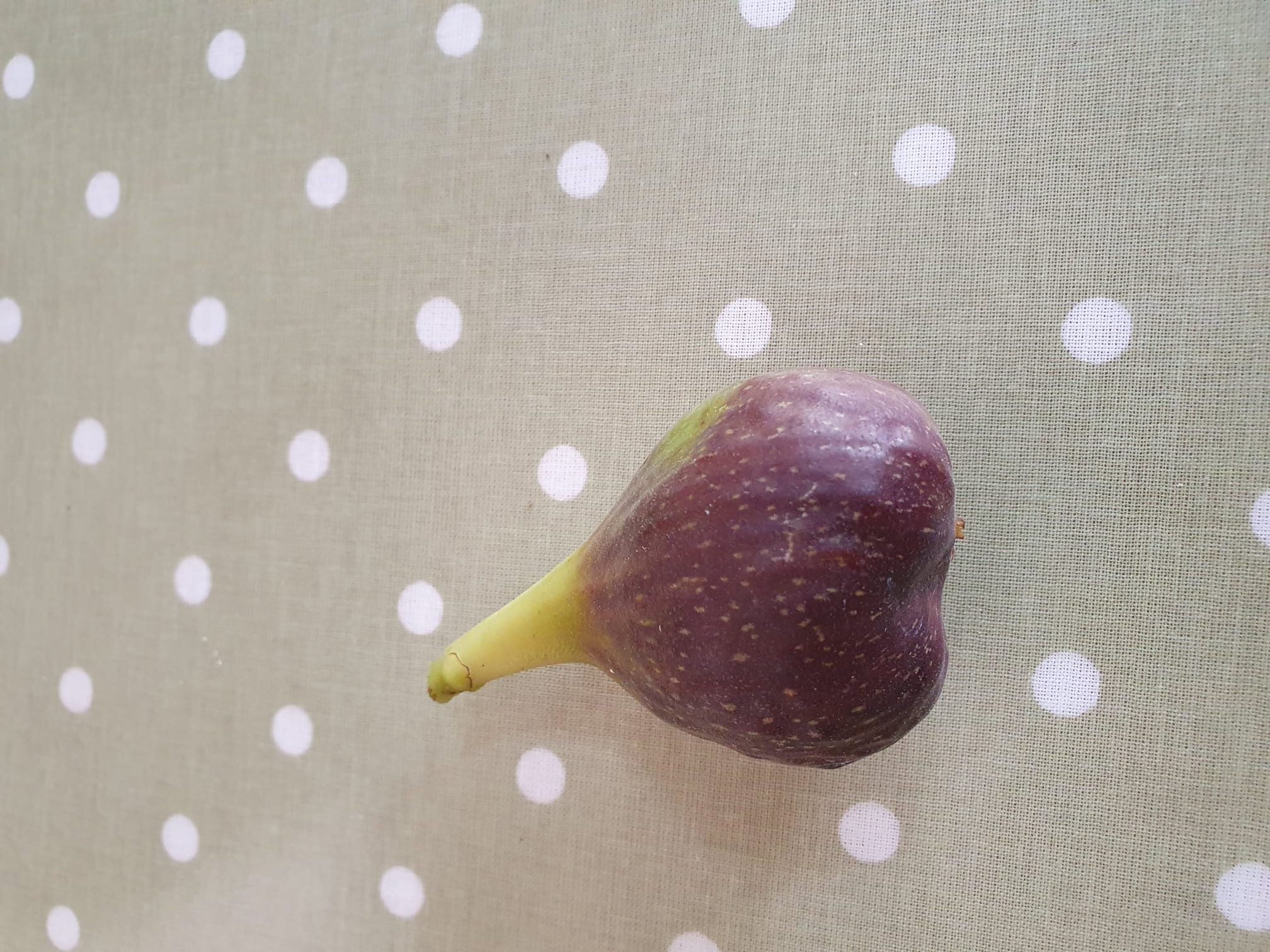 Lessons  most often we learn late in life …