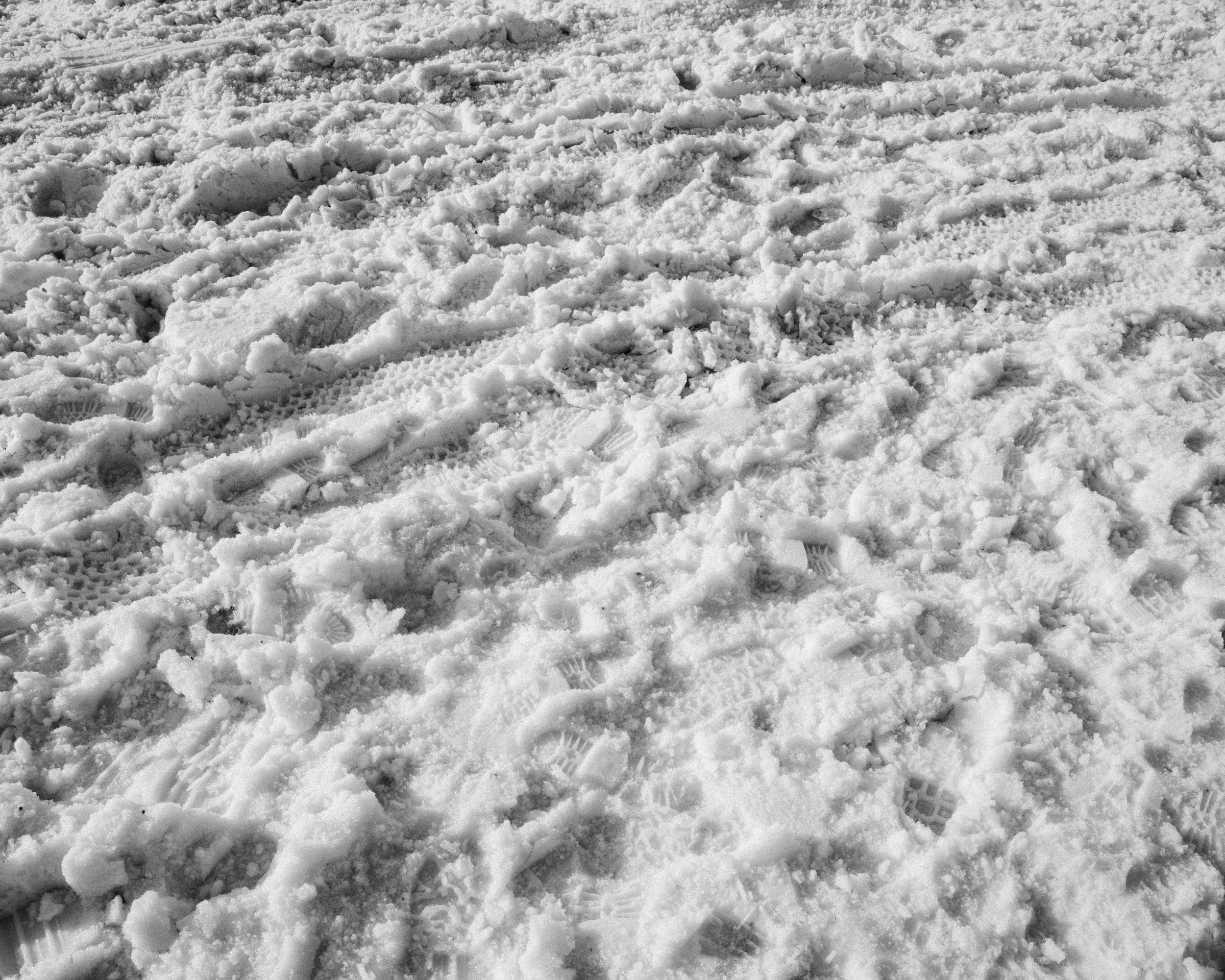 _DSC9846.jpg