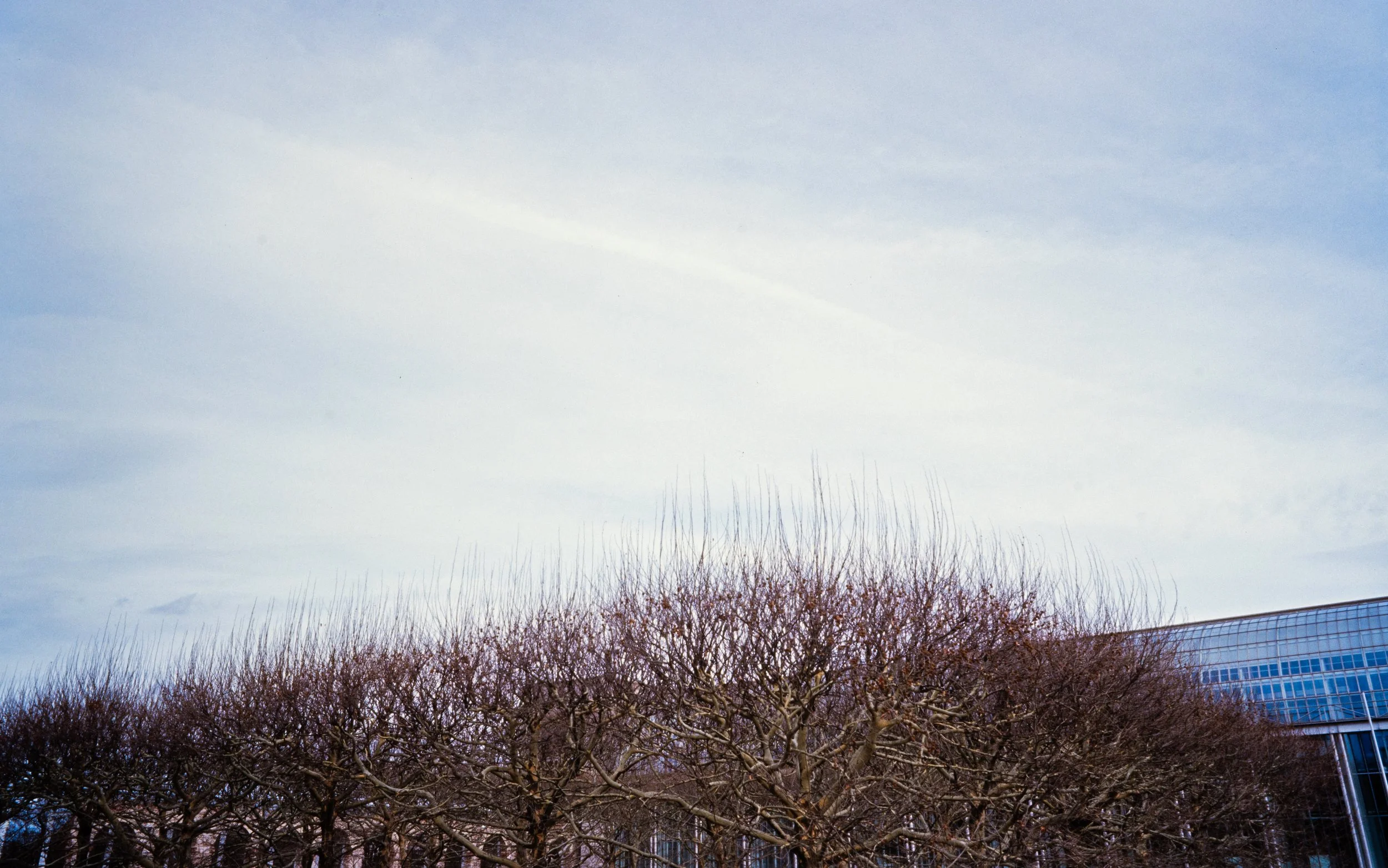 _DSC0980.jpg