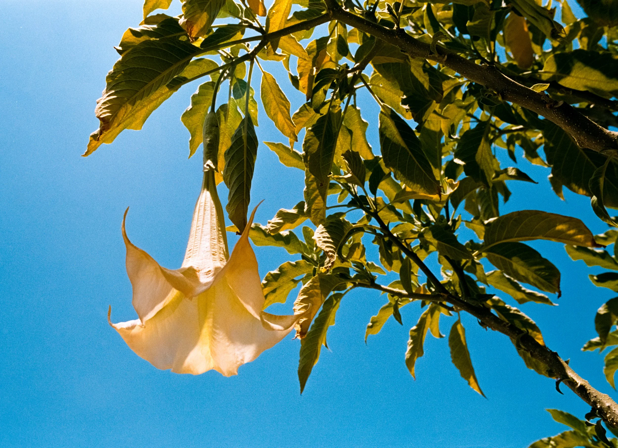 _DSC7394.ARW-Edit.jpg