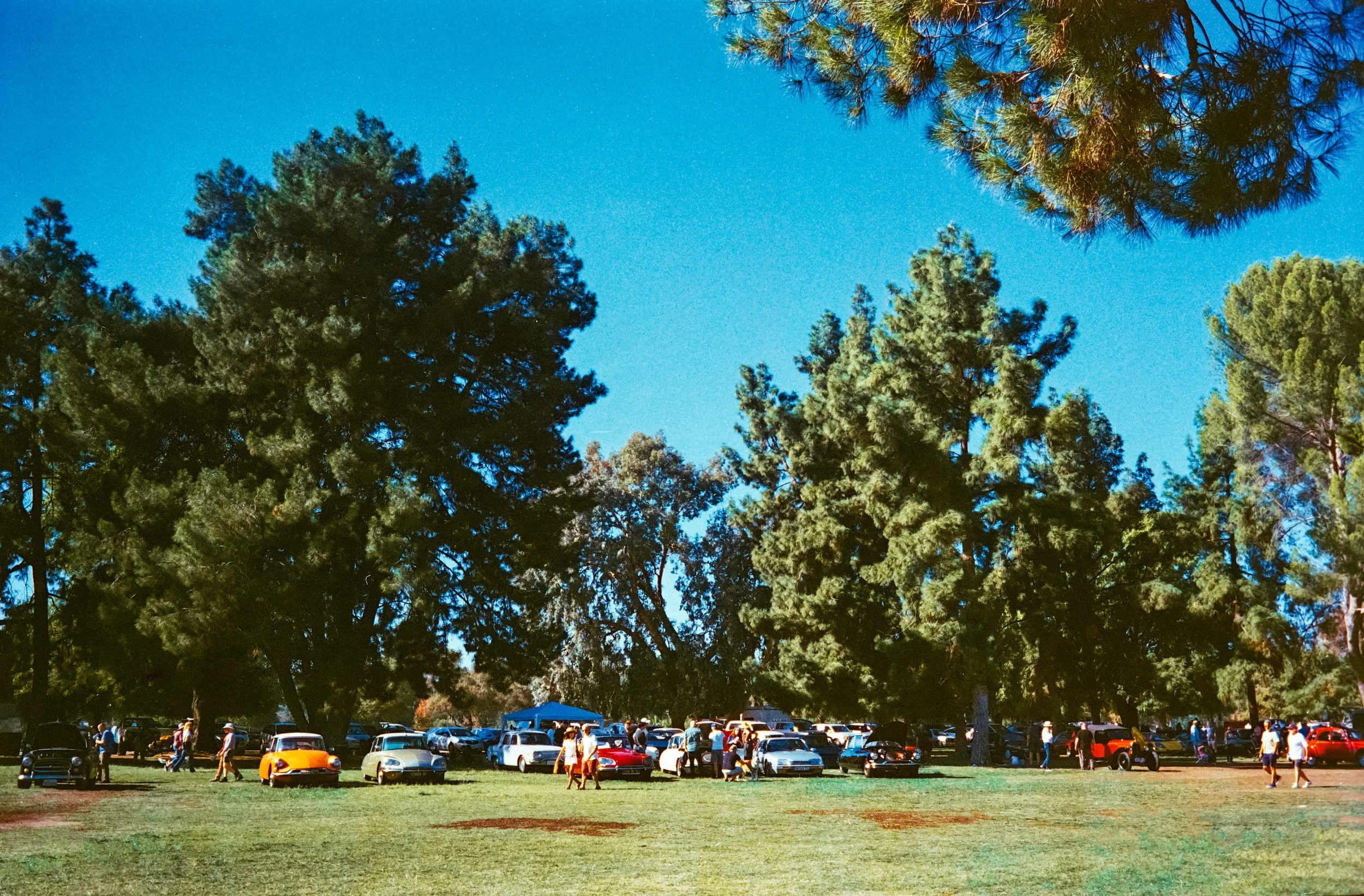 935-1891.jpg