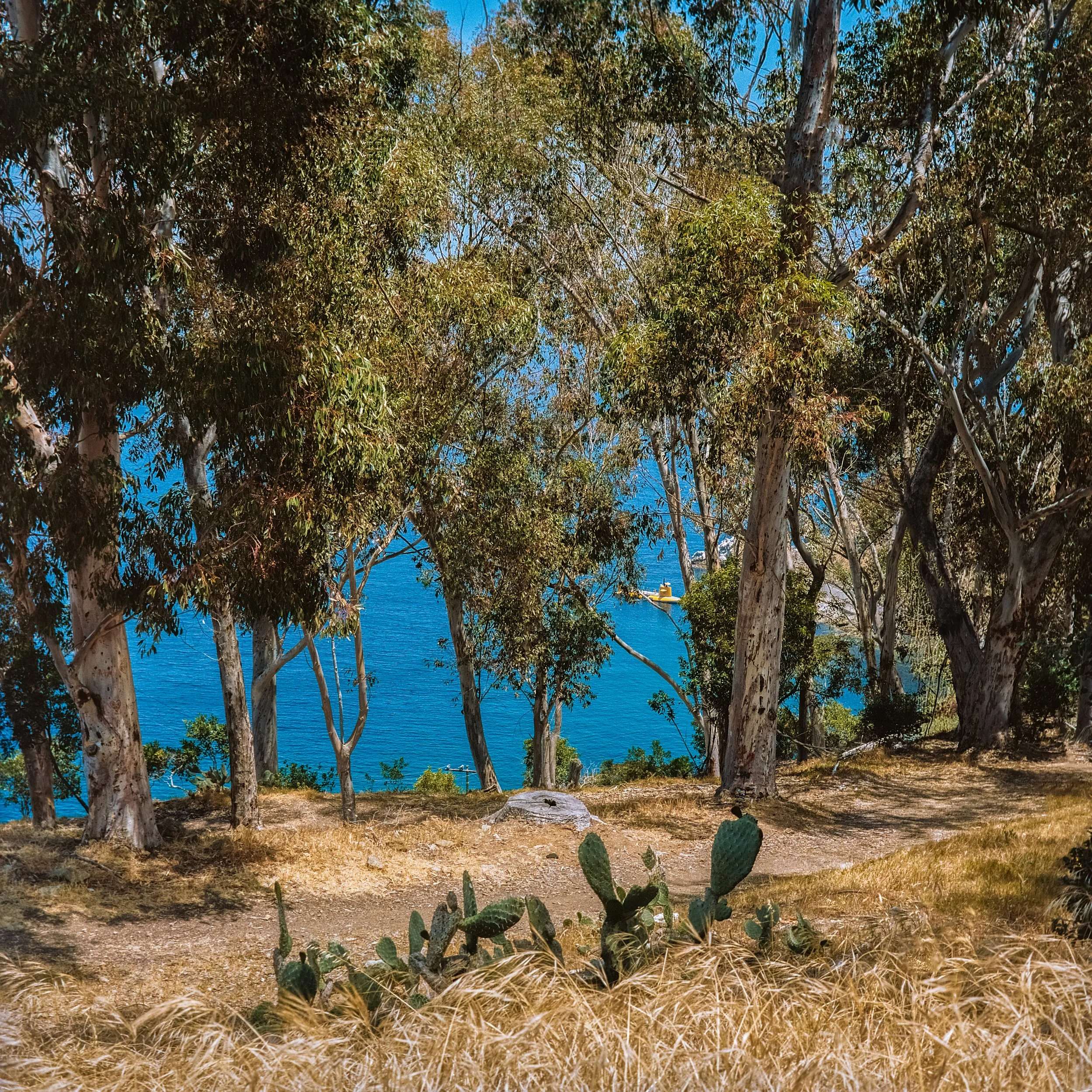 _DSC7069.ARW-Edit-2.jpg
