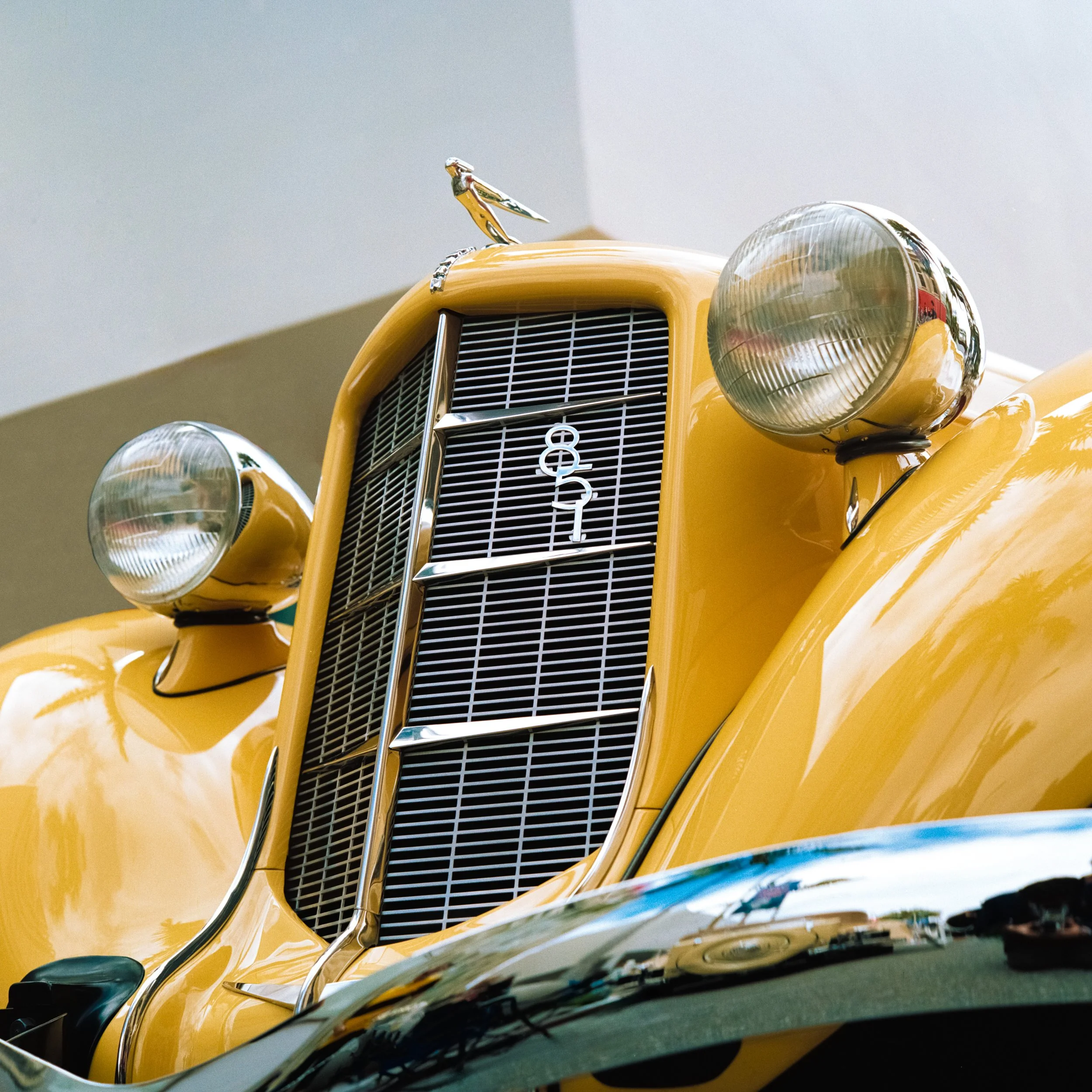 _DSC7564.ARW-Edit-2.jpg