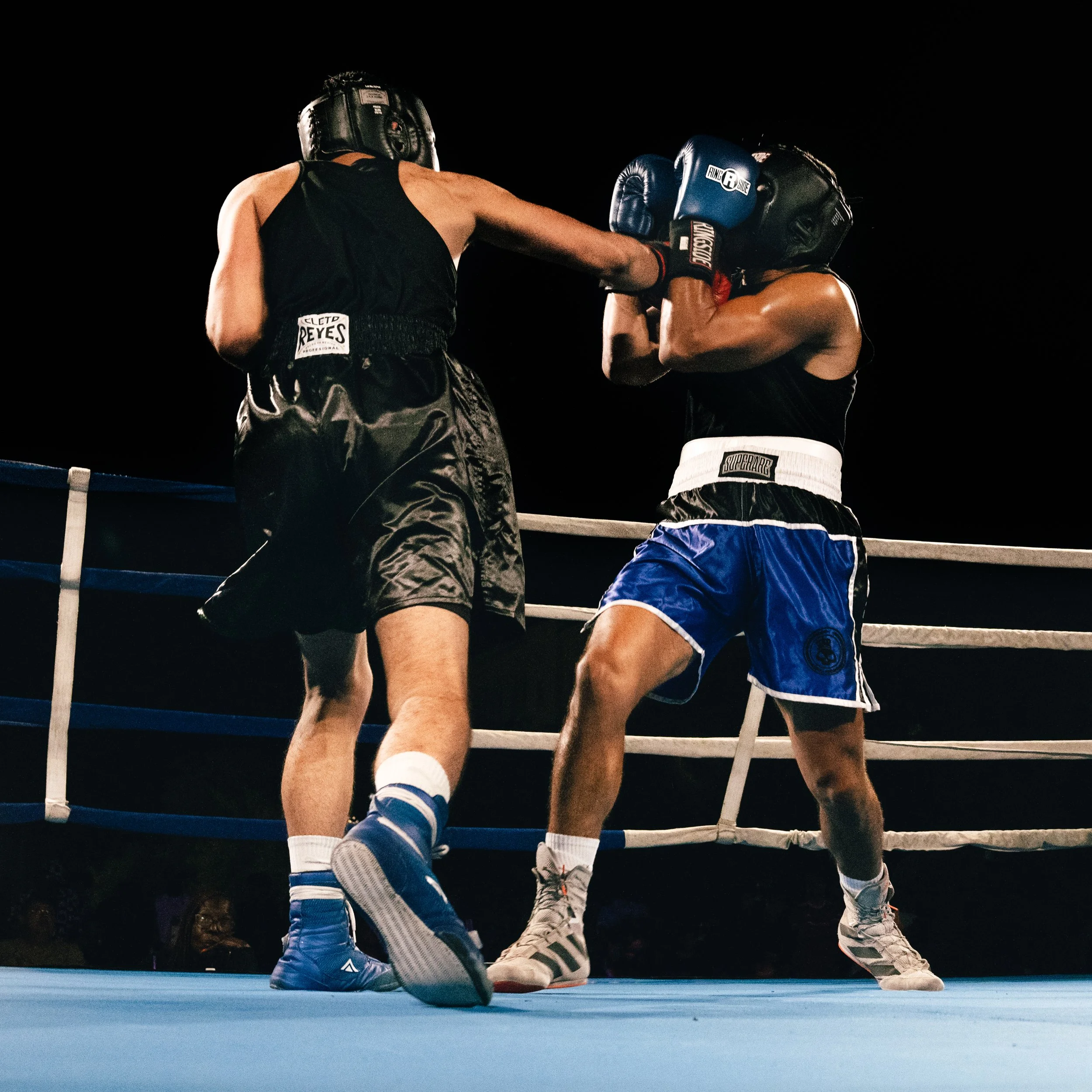 _DSC1246-Edit.jpg