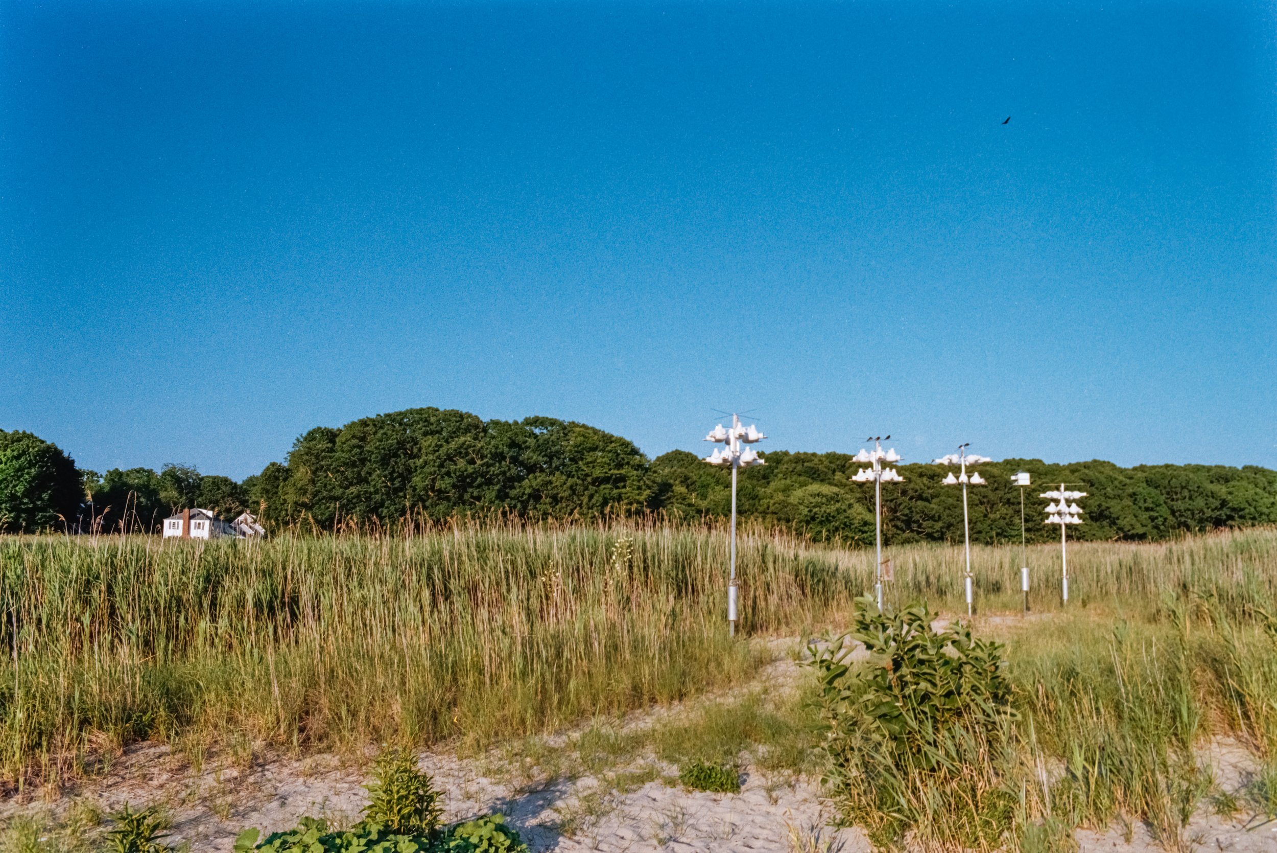 _DSC7352.ARW-Edit.jpg