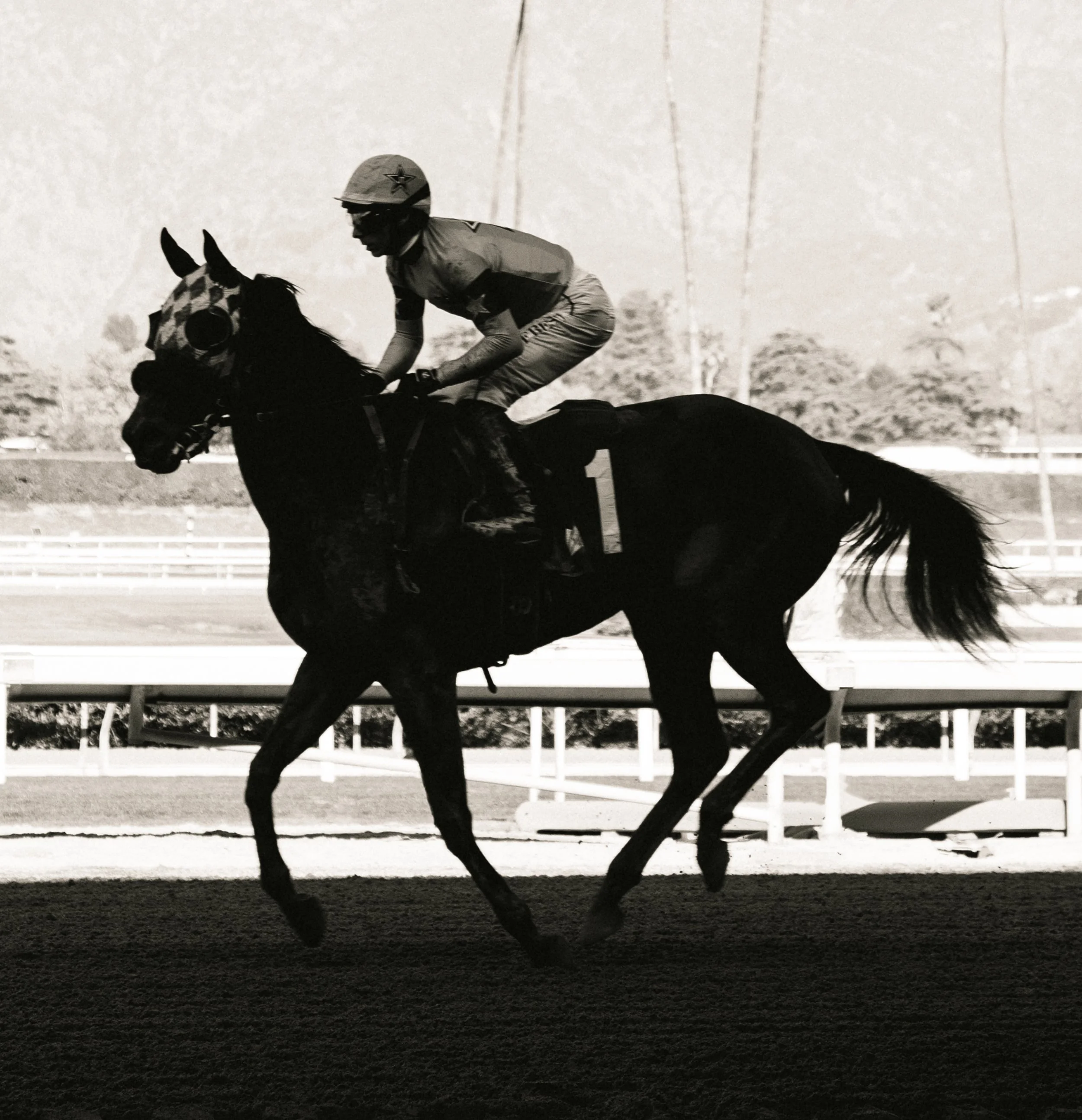 Santa Anita Horse Racing