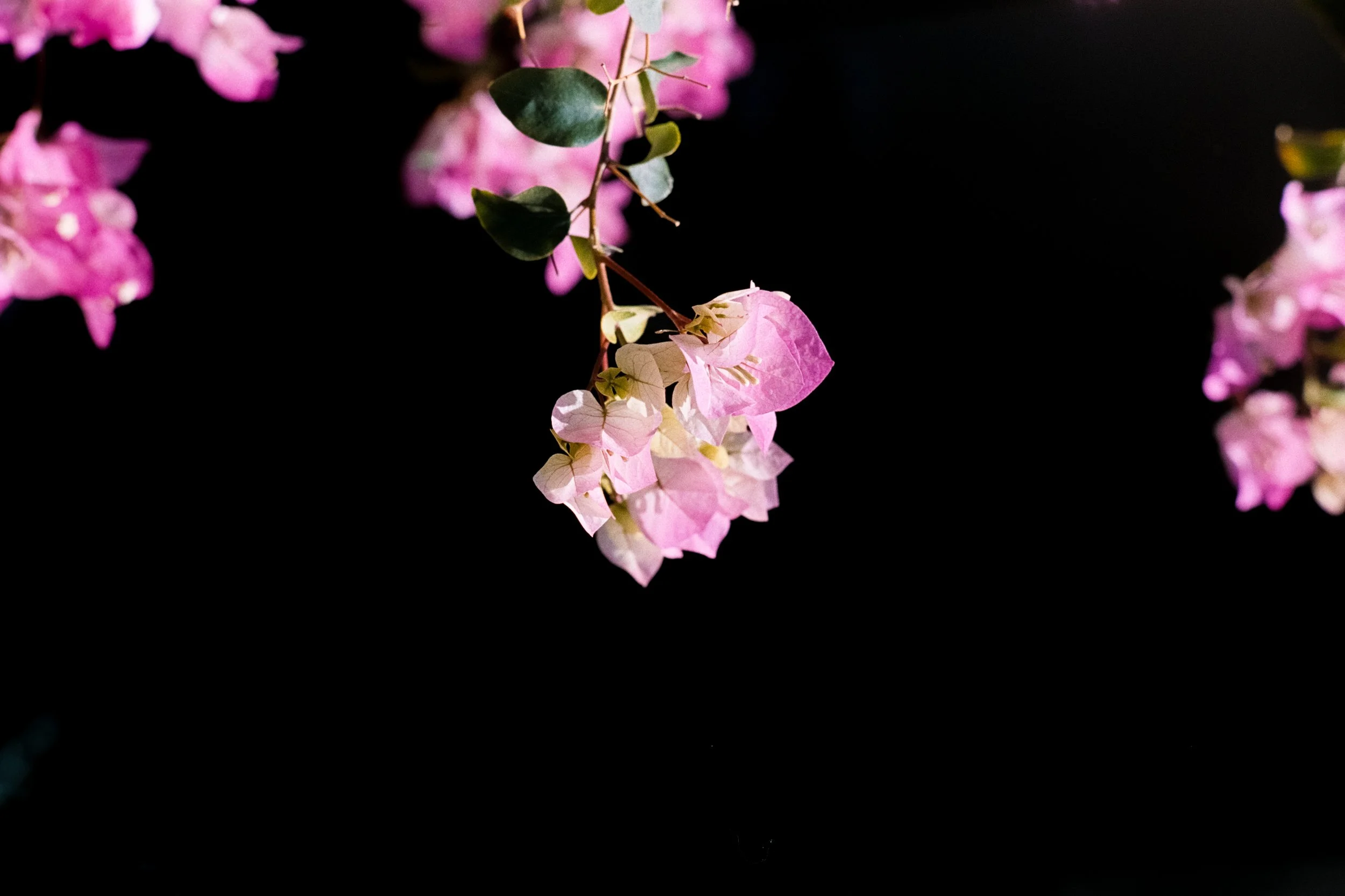 _DSC7397.ARW-Edit.jpg