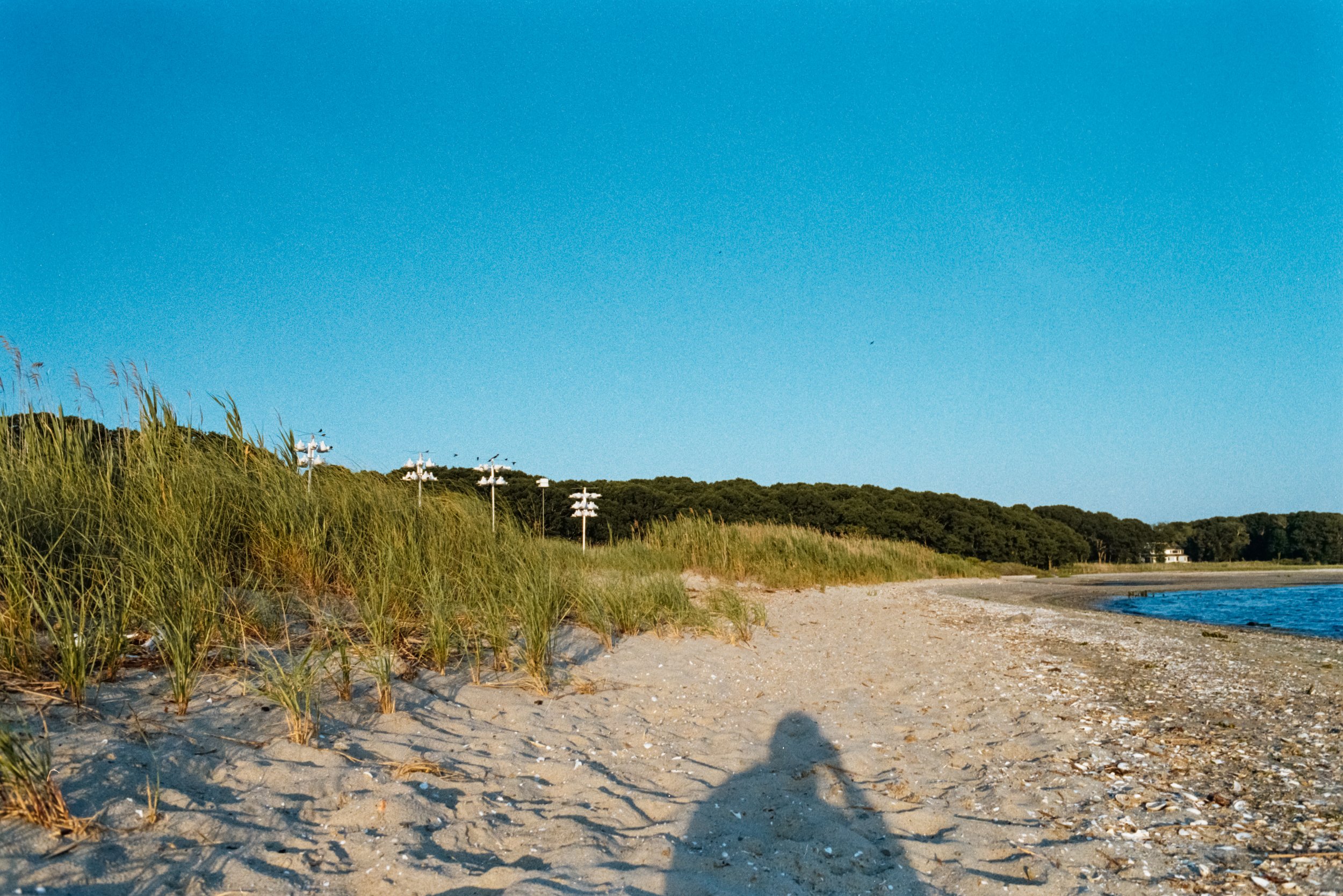 _DSC7350.ARW-Edit.jpg