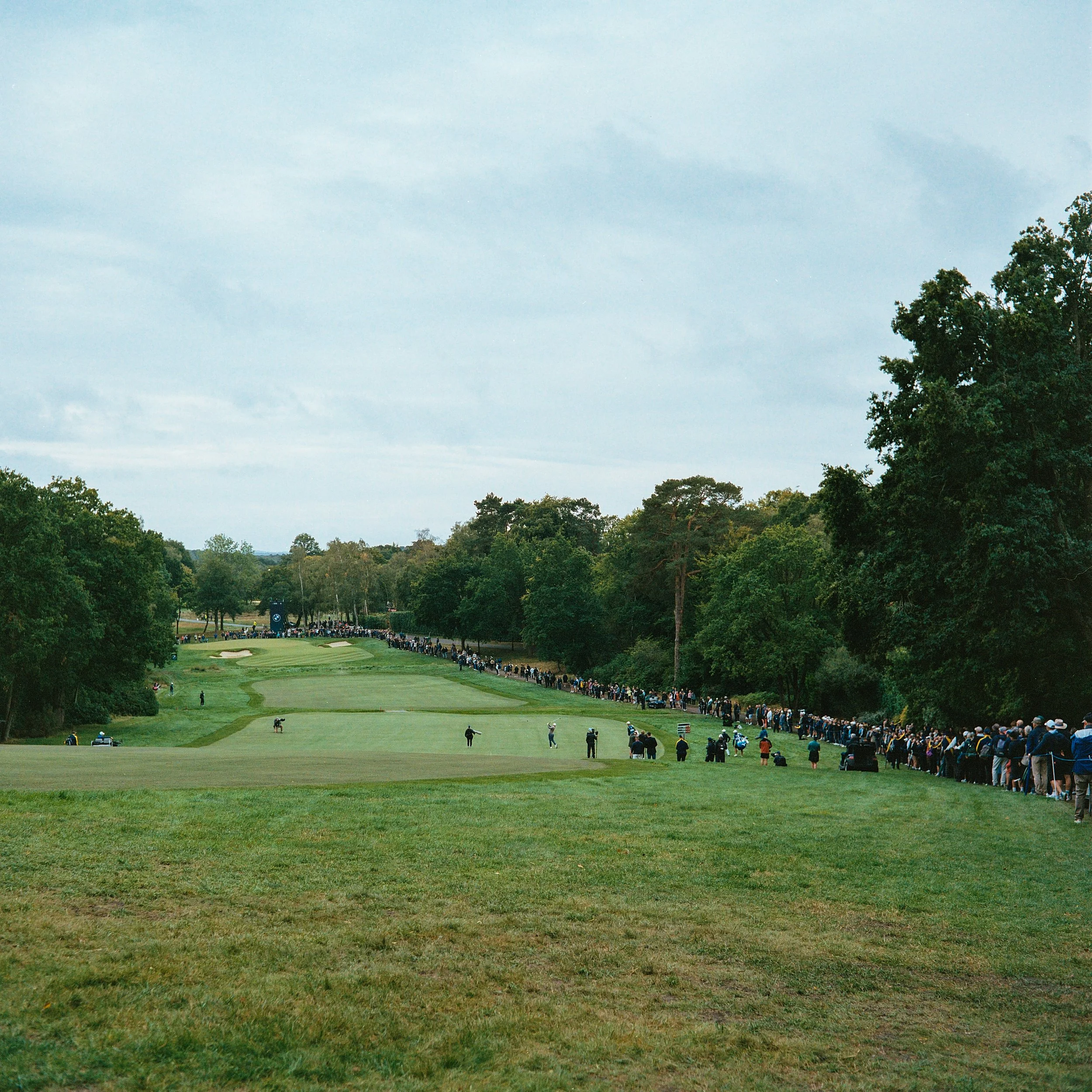 935-1517.jpg