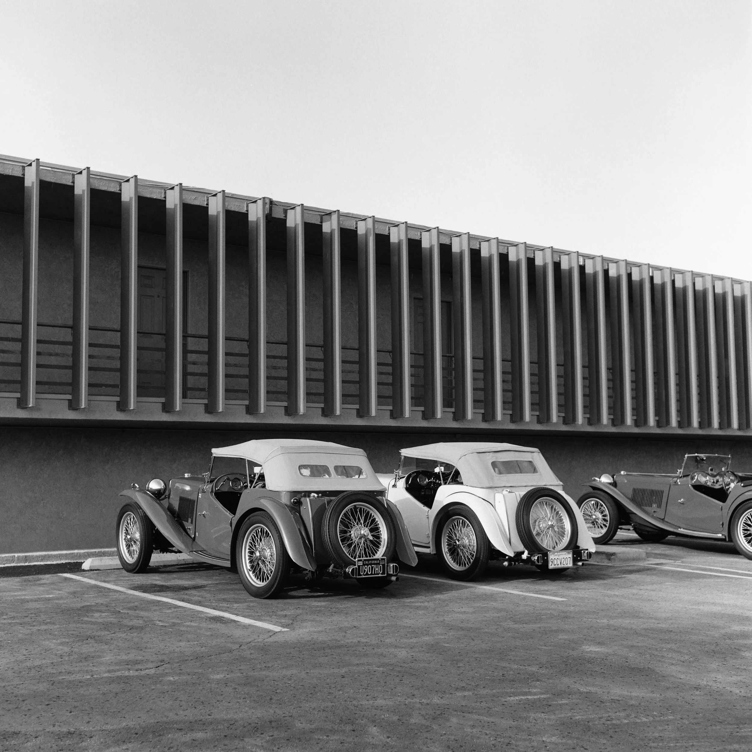 _DSC1019.ARW-Edit.jpg