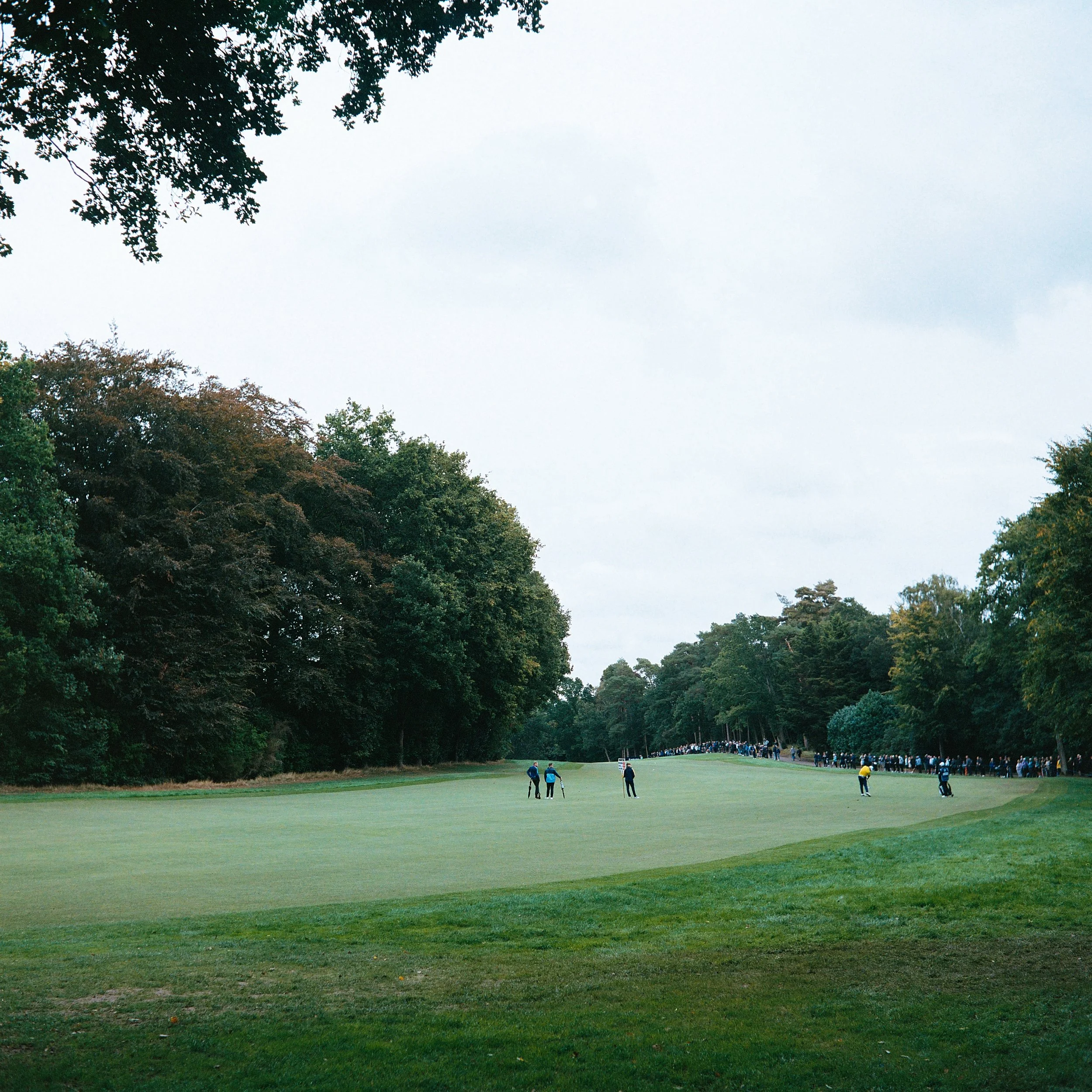935-1521.jpg