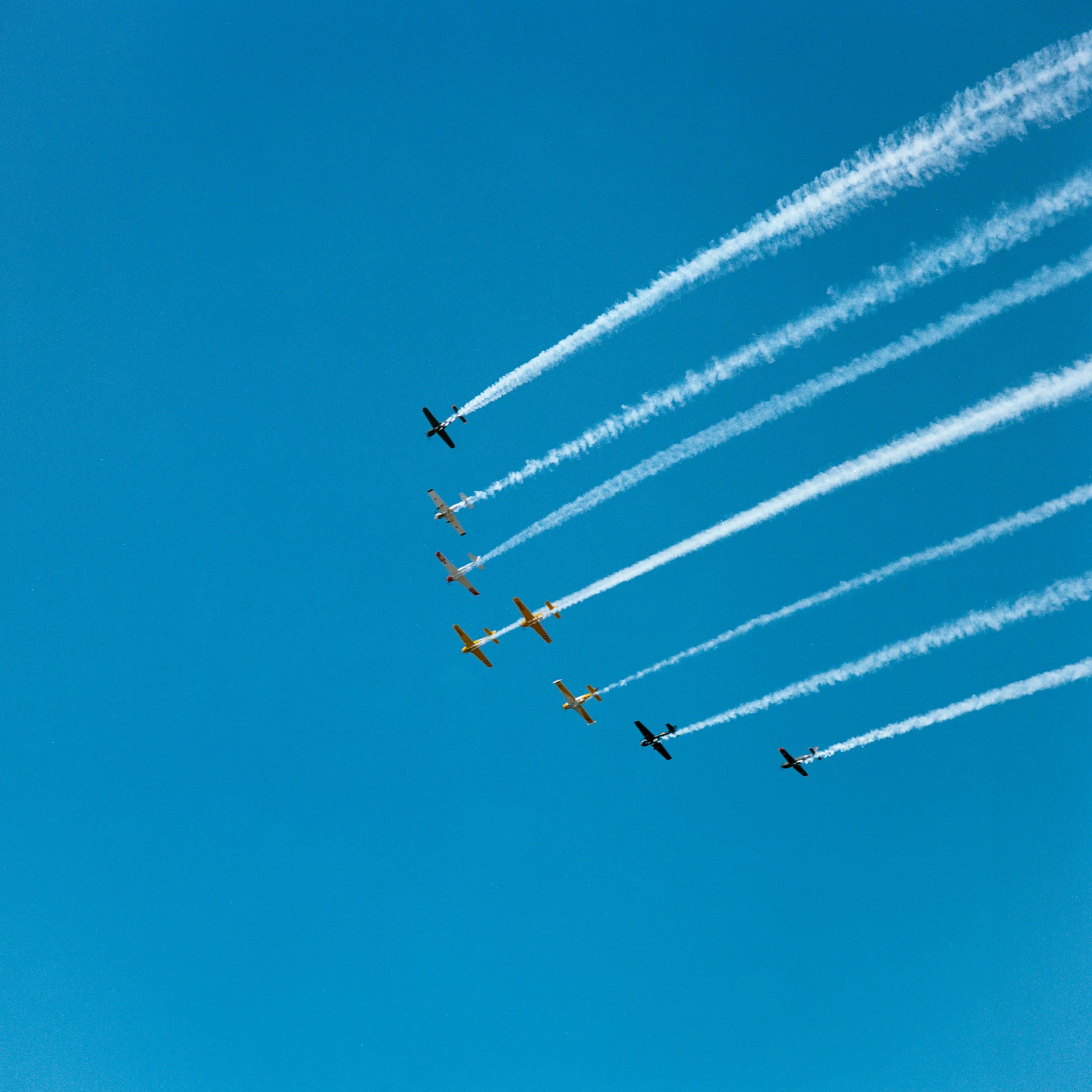 _DSC6775.ARW-Edit.jpg