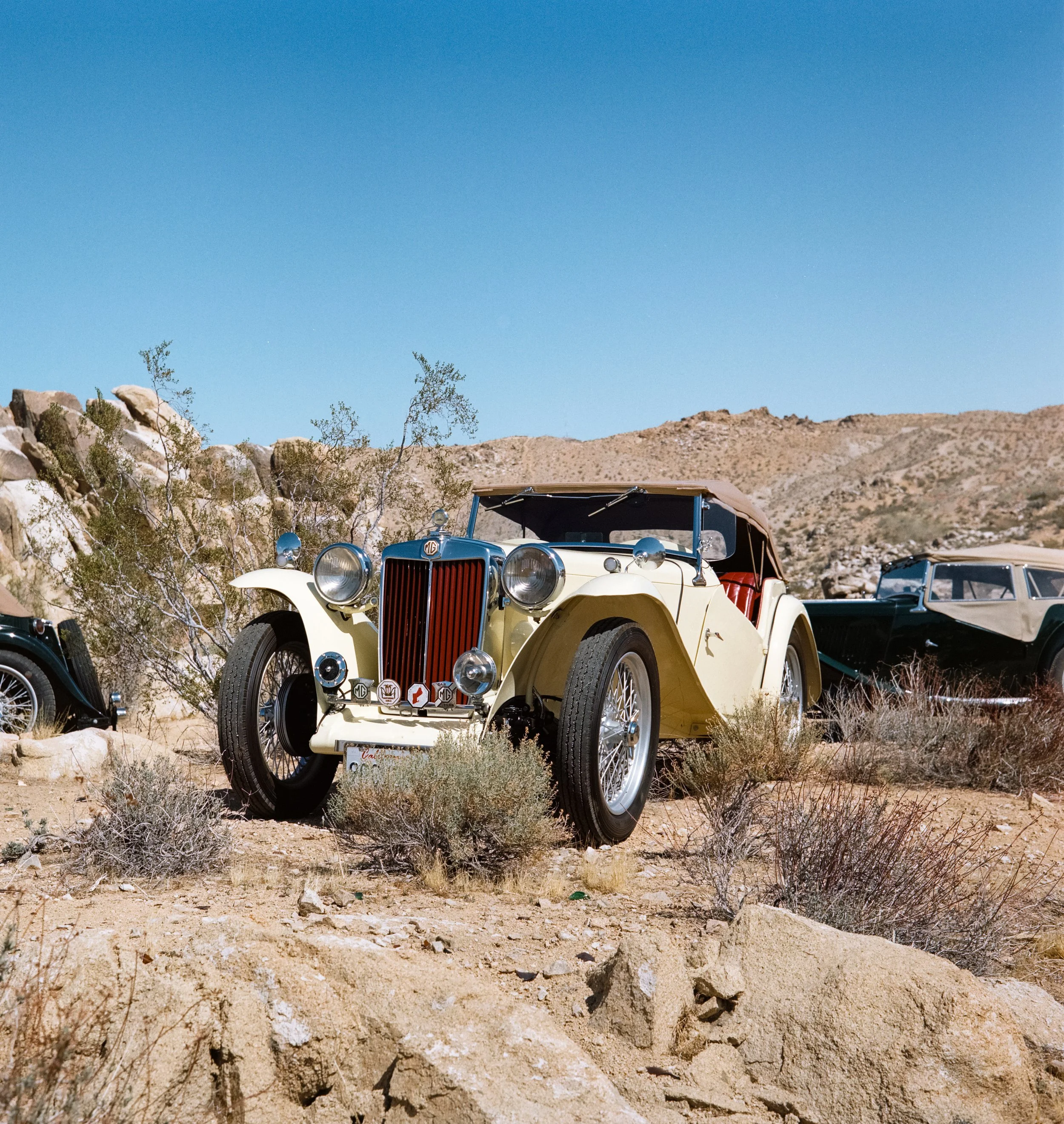 _DSC1006.ARW-Edit.jpg