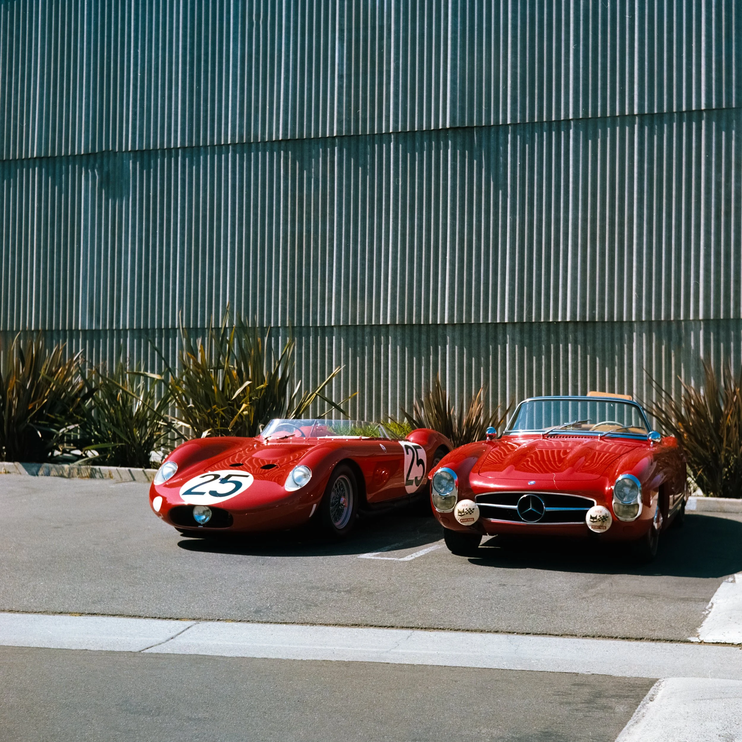 _DSC7549.ARW-Edit.jpg