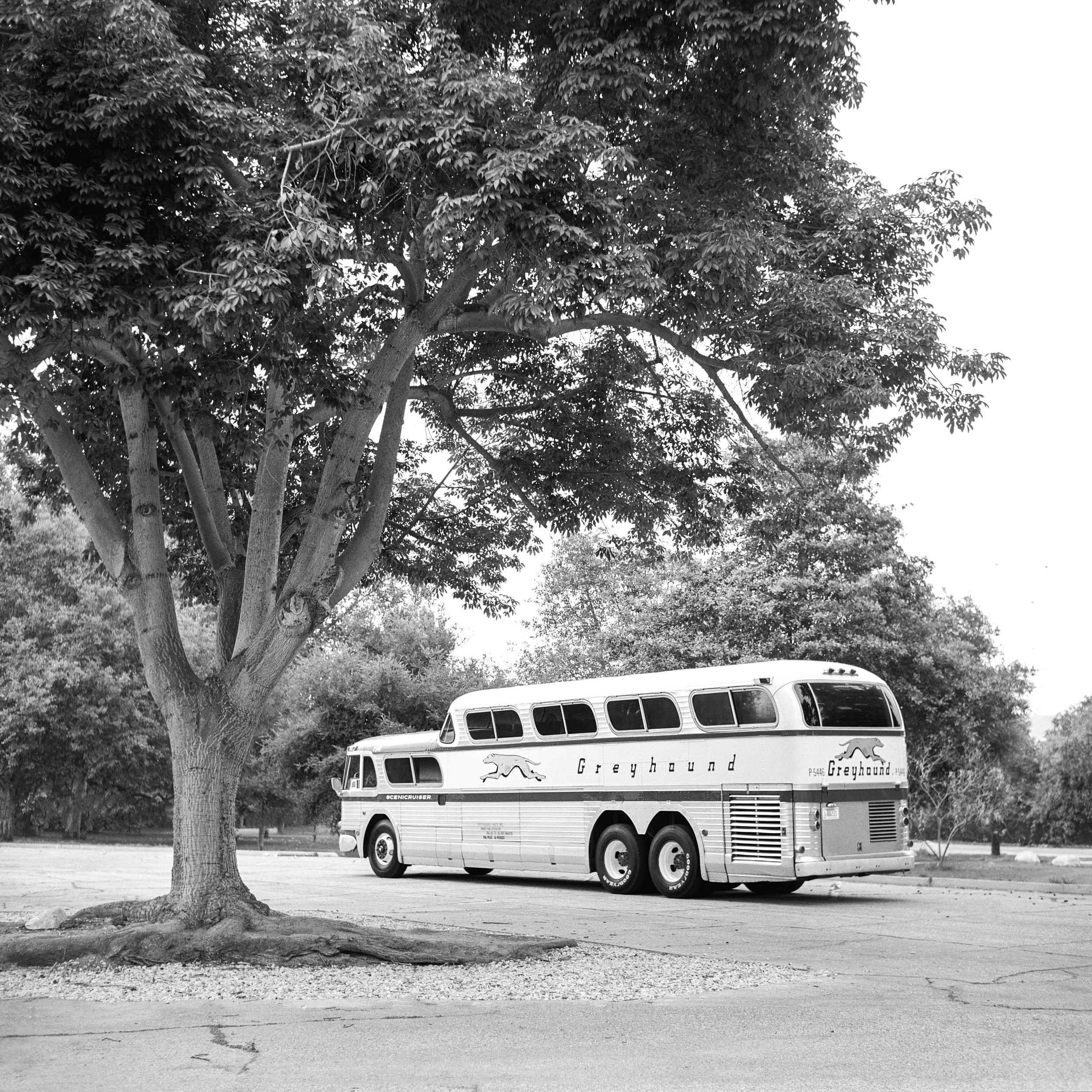 _DSC7083.ARW-Edit.jpg