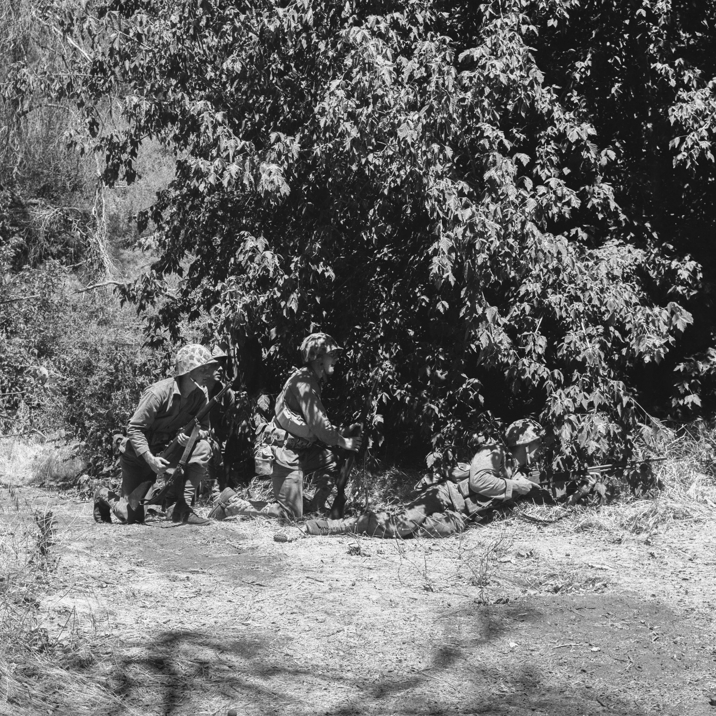 _DSC7775.ARW.jpg