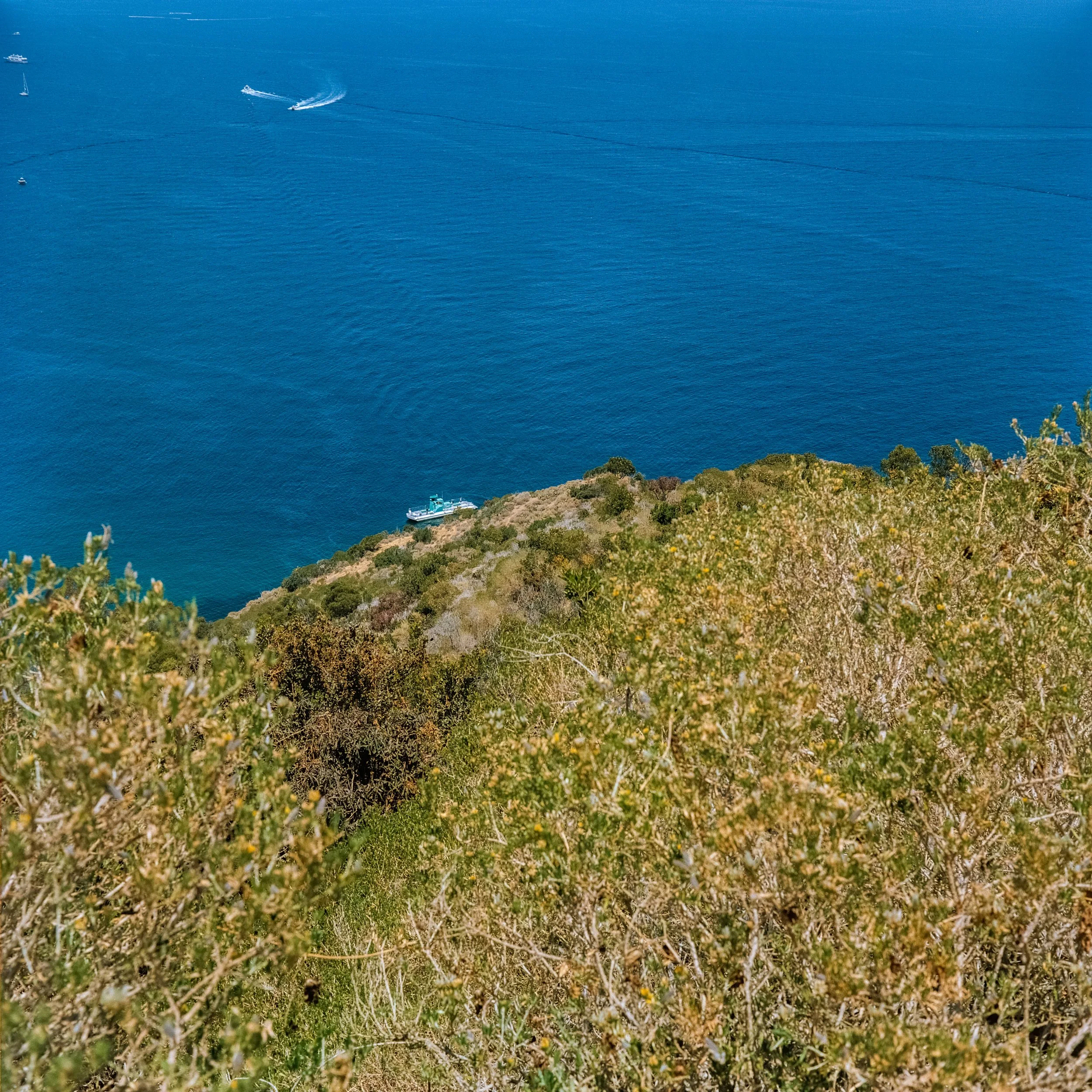 _DSC7072.ARW-Edit-2.jpg