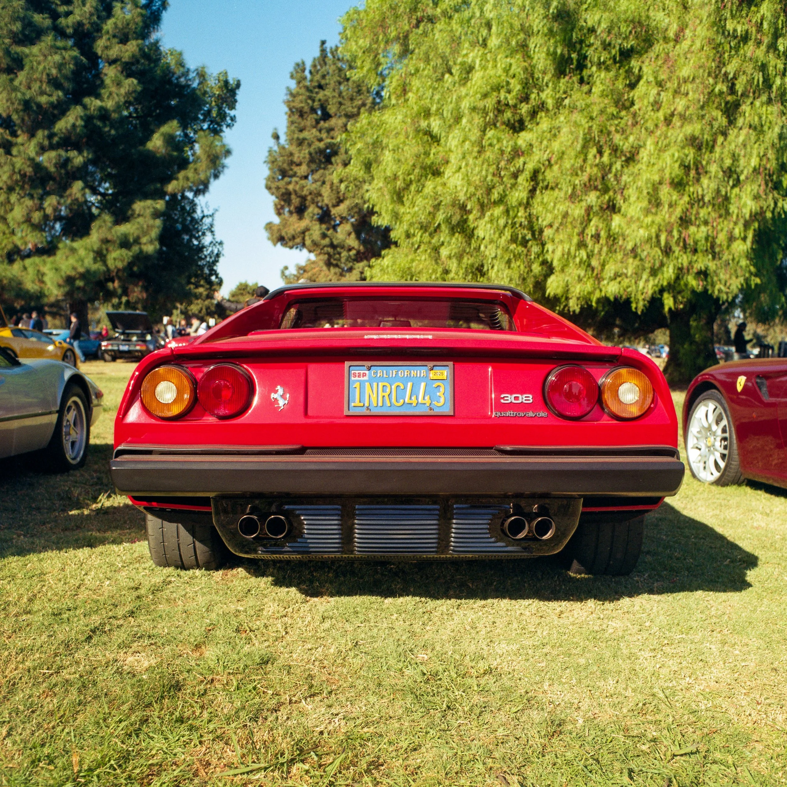 935-208.jpg