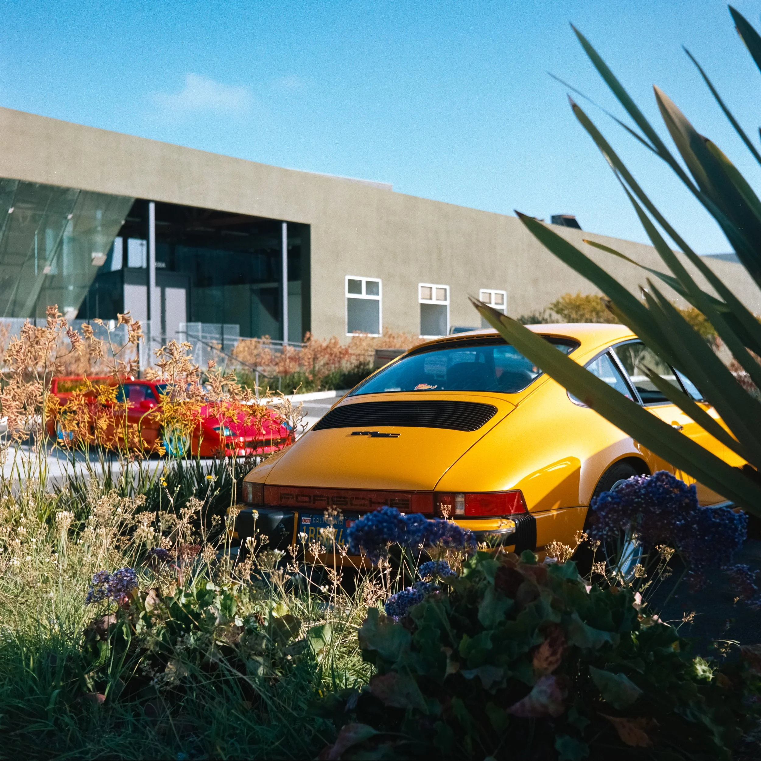 _DSC7553.ARW-Edit.jpg