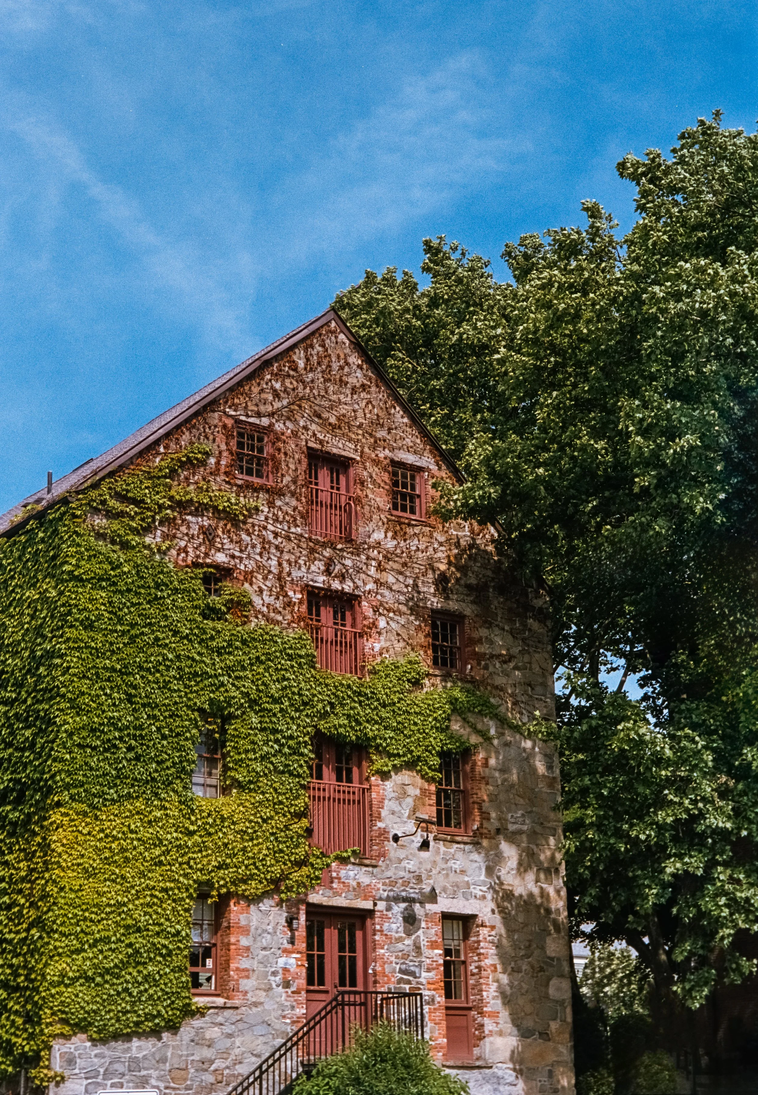 _DSC7173.ARW-Edit.jpg