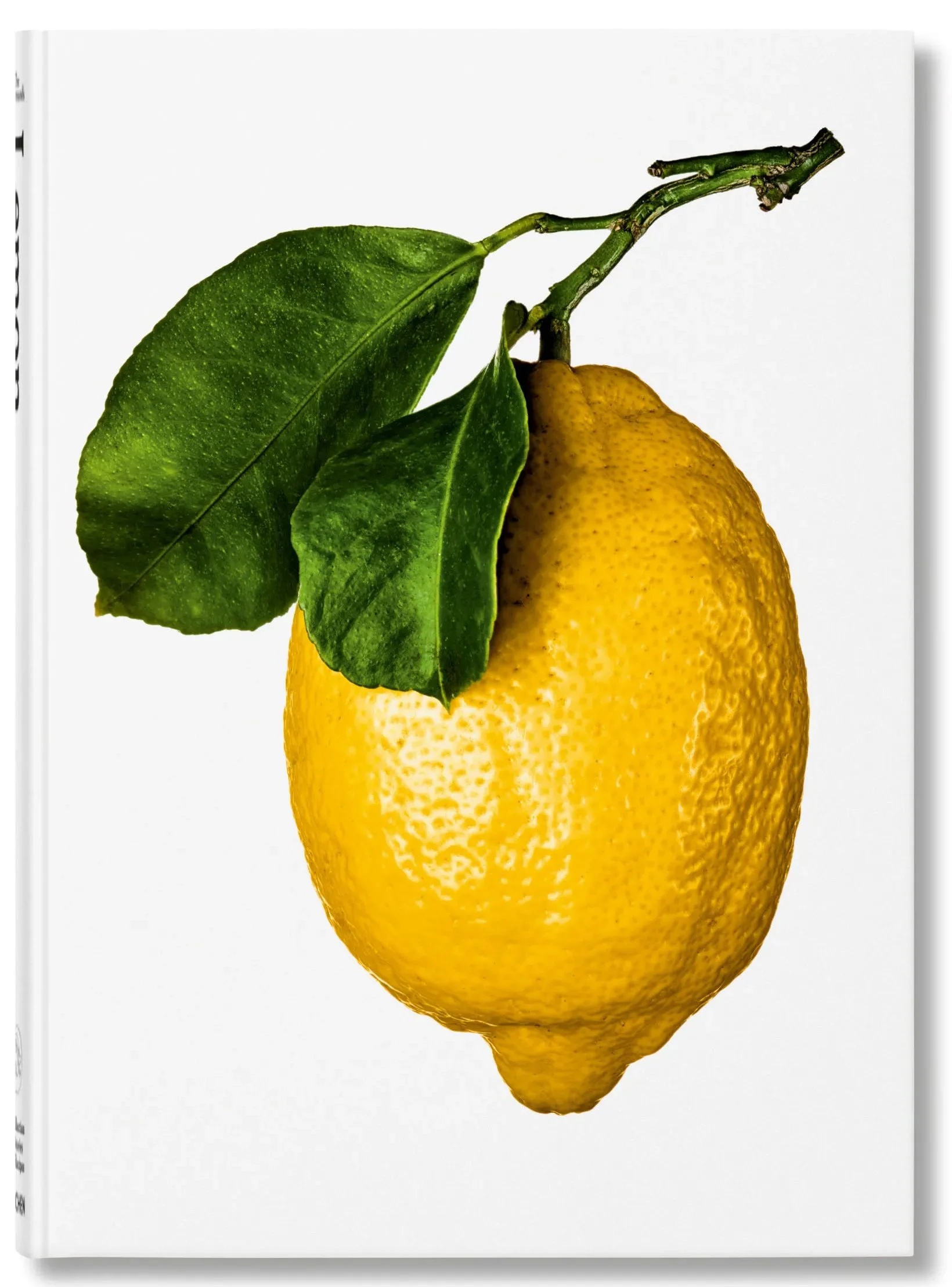 lemon.jpg