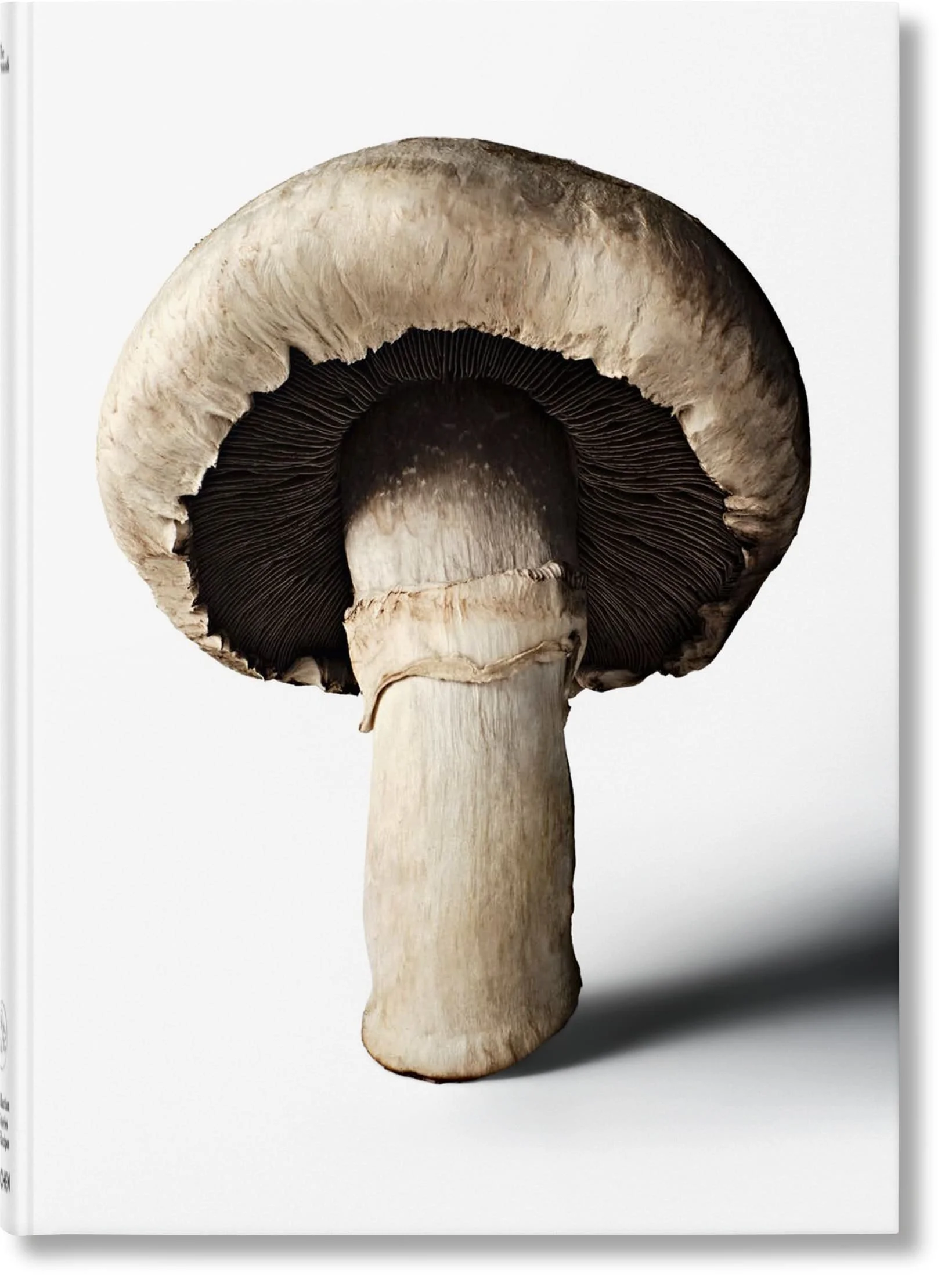 GOURMAND_MUSHROOM_VA_GB_3D_08029.jpg