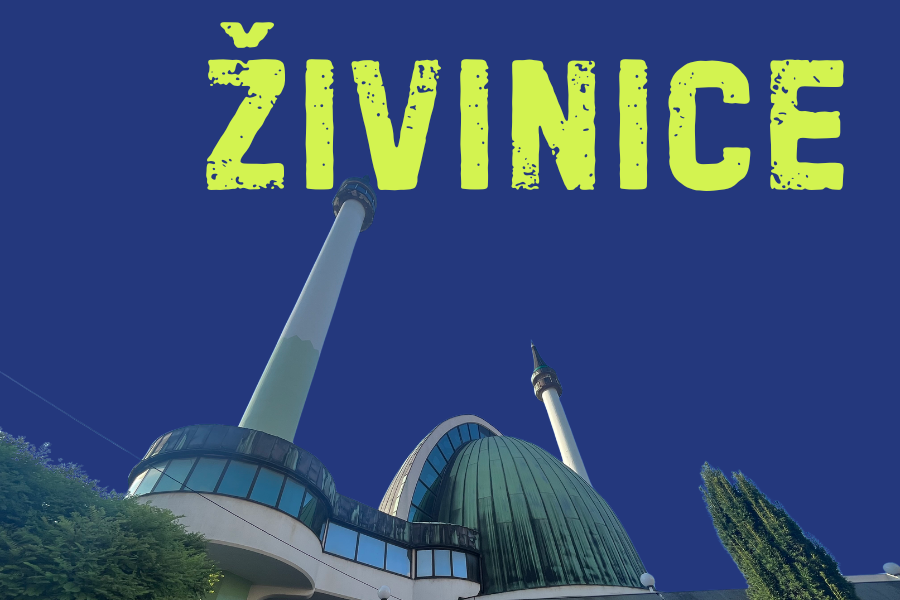 ŽIVINICE
