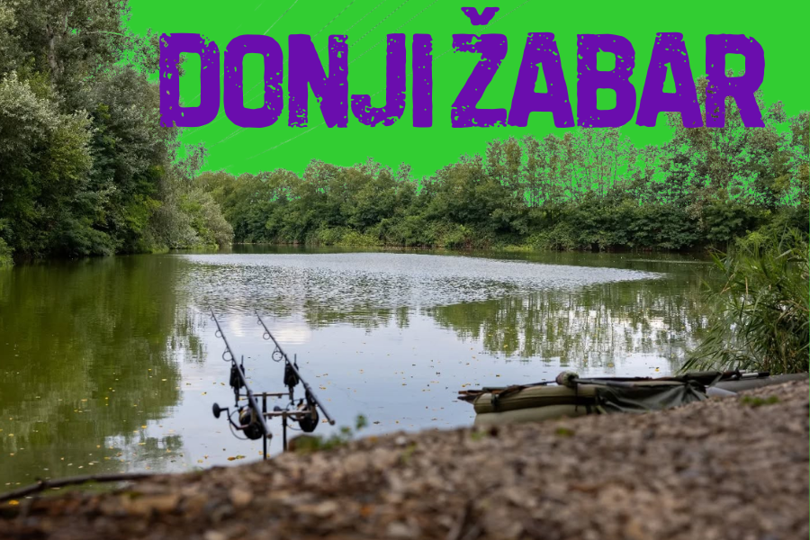 DONJI ŽABAR