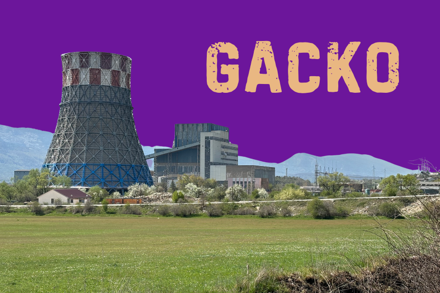 GACKO