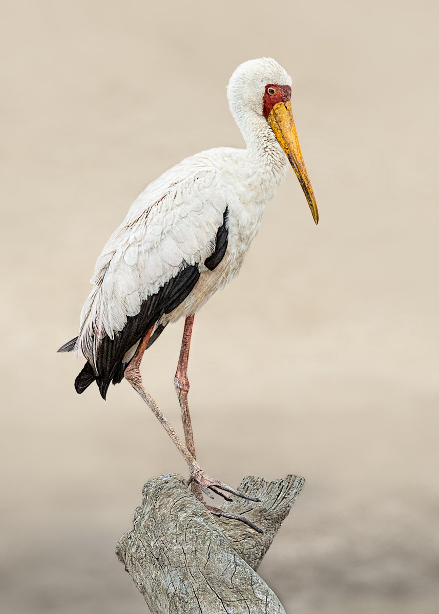ON THE SAND BANKS by Maggie James.JPG