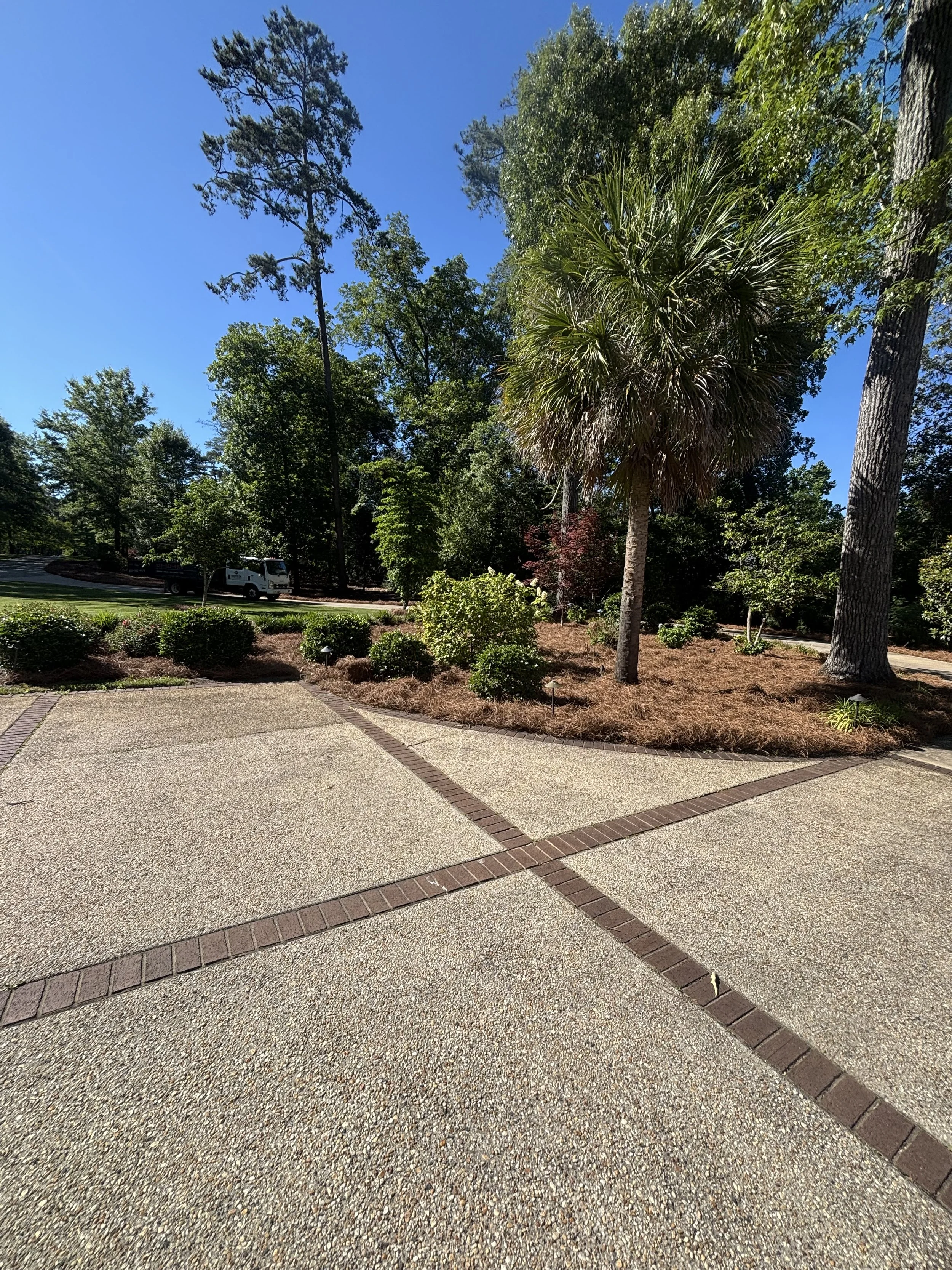 IMG_0984.jpeg