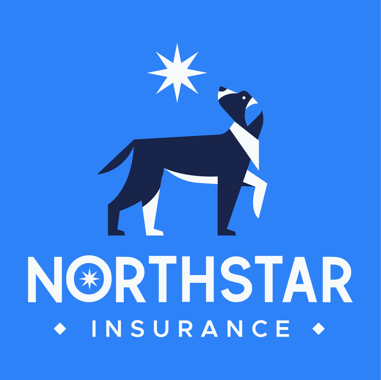 North Star Insurance LLC
