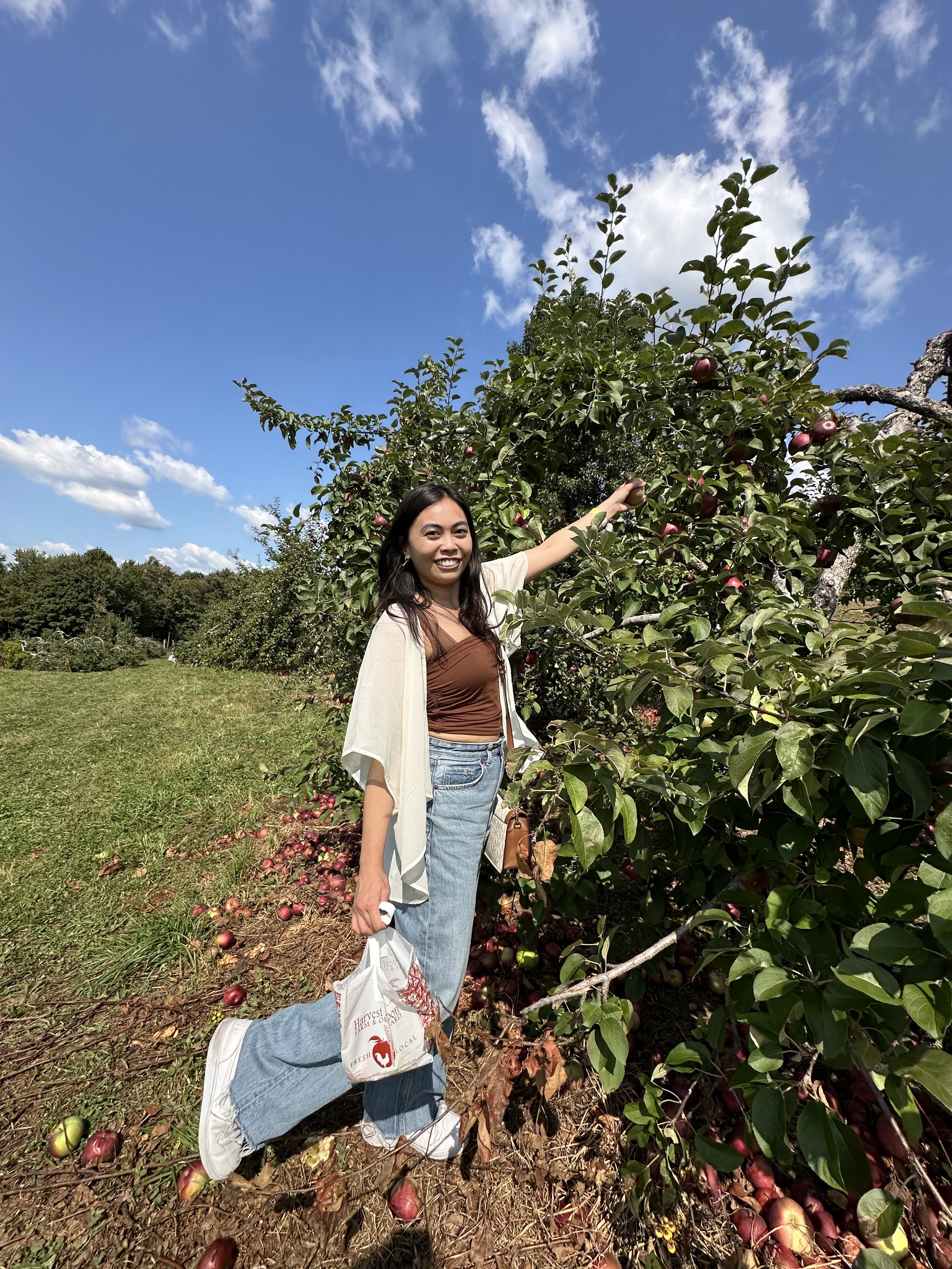 Apple picking in upstate NY