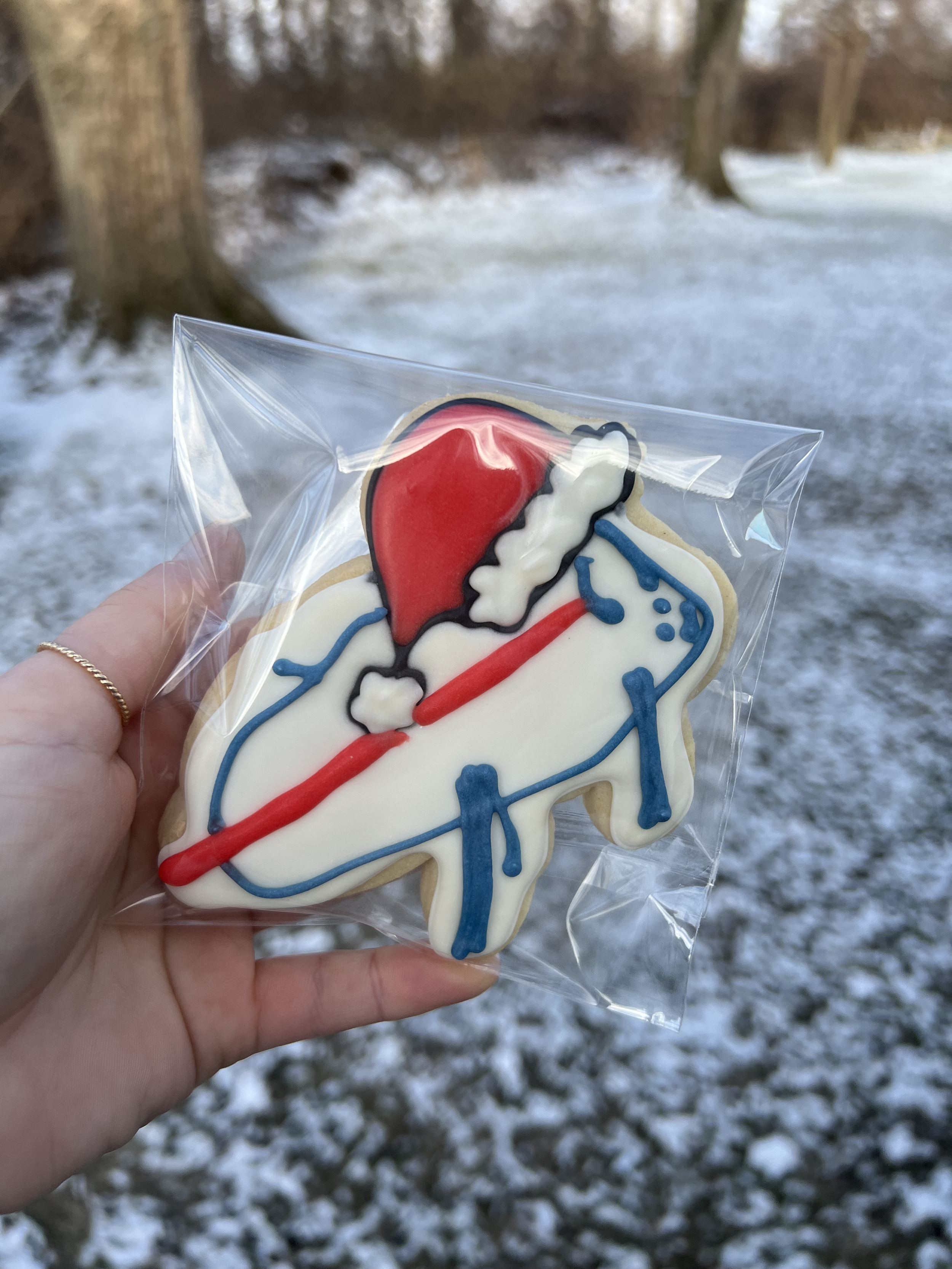 josh santa logo cookie.png