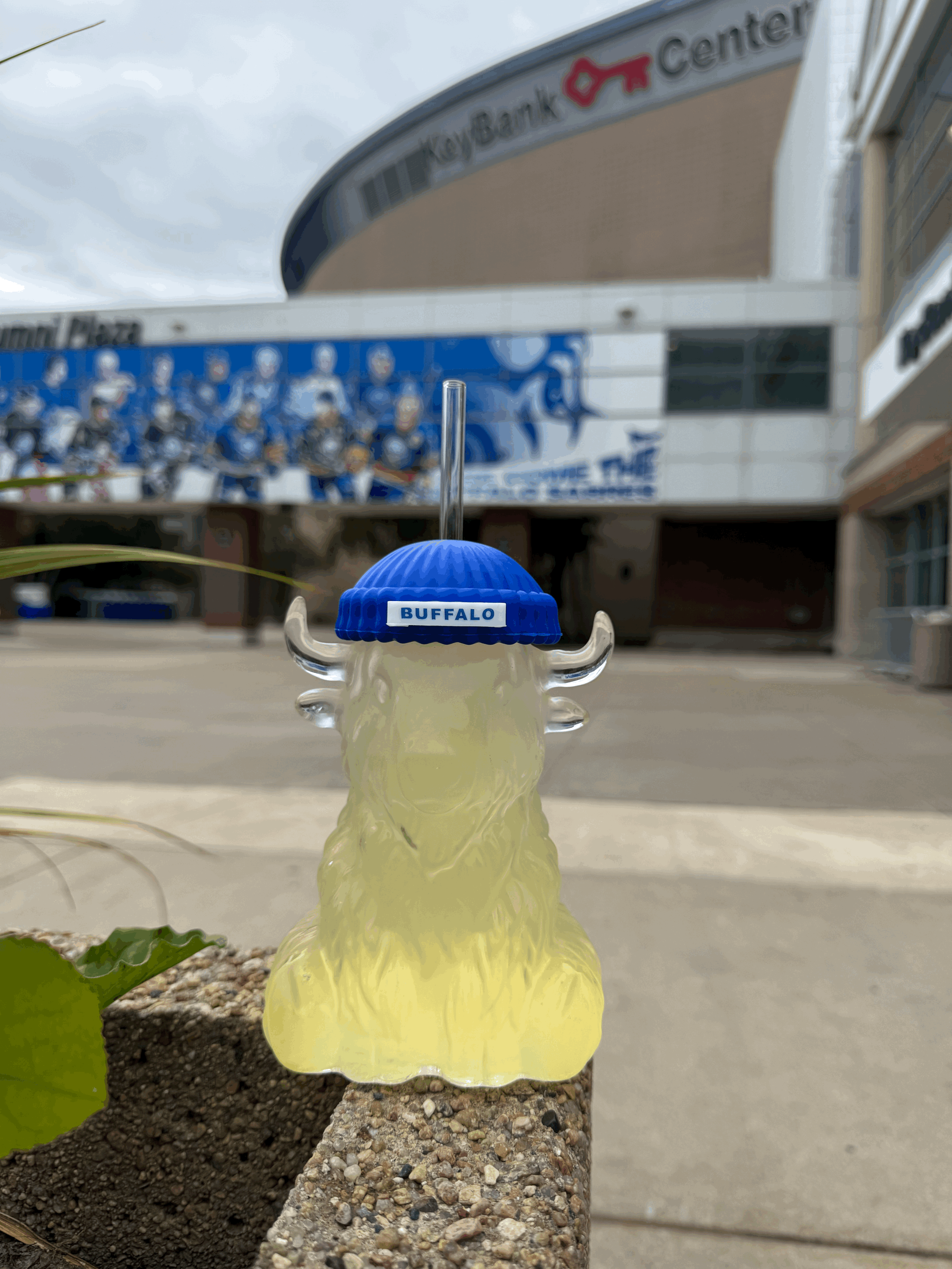 tempImageUTFm4r.gif