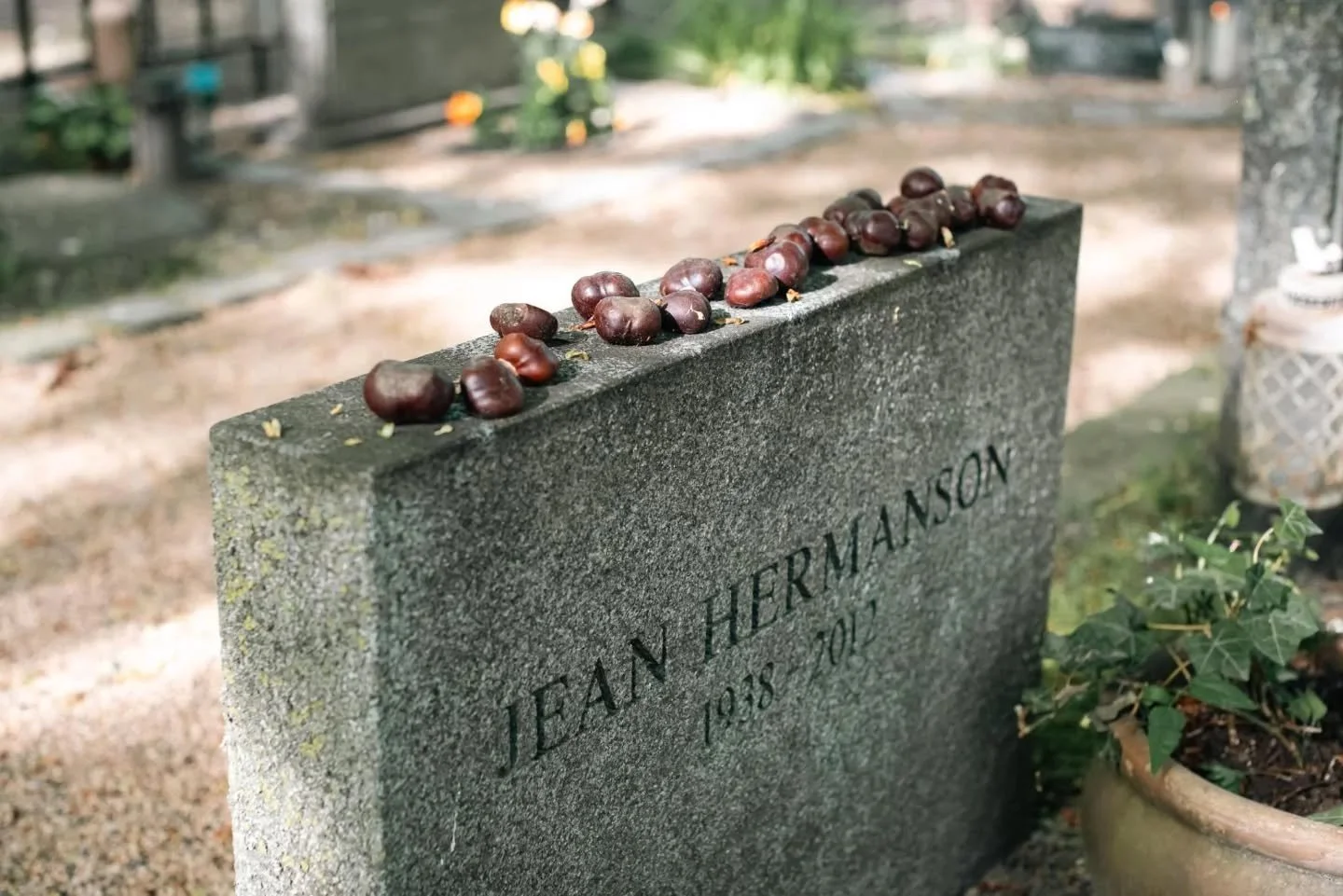 My husband is doing a presentation on Malm&ouml; for his Swedish speaking class so I finally edited some photos from when we were there in 2024. There was a beautiful cemetery in the middle of the city so we wandered through on our way back to the tr