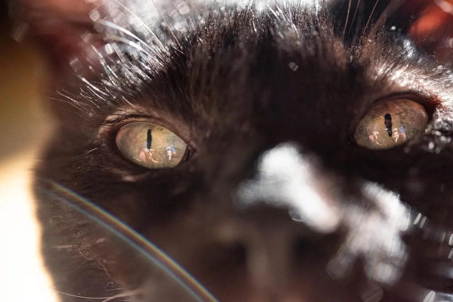 Come to the fediverse with me. No billionaires allowed.

https://pixelfed.social/lisaxhearts