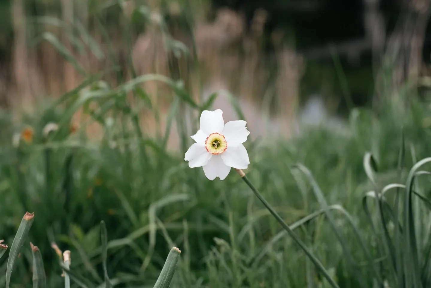 I can take a break soon