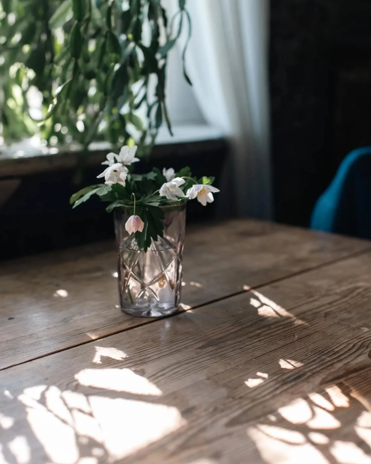 Finally picked my prints for the ESP print show on November 15!

Horses and flowers from Iceland and sweden

#easternstandardphoto
@eastern_standard_photo