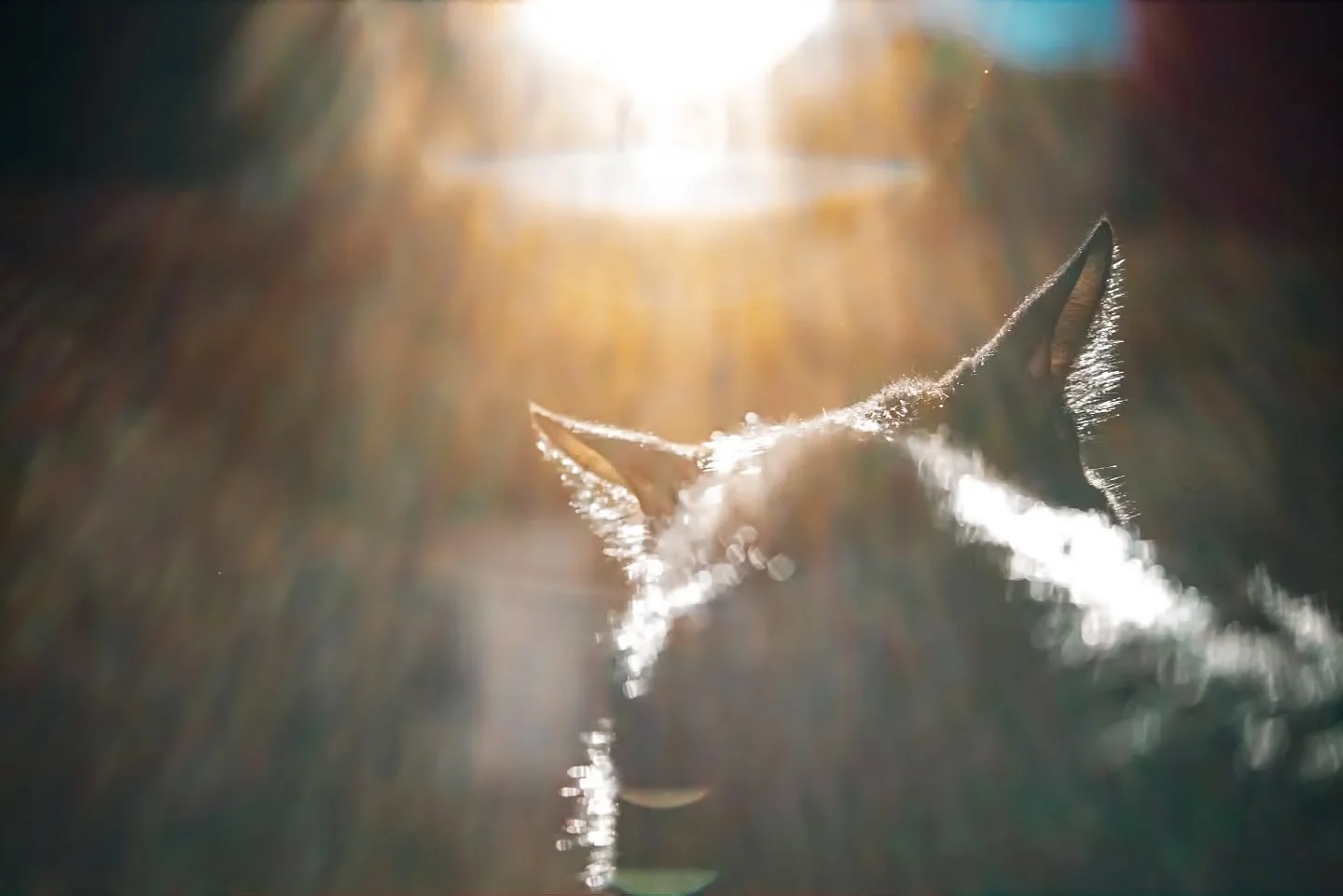 That depression man. Tough stuff.