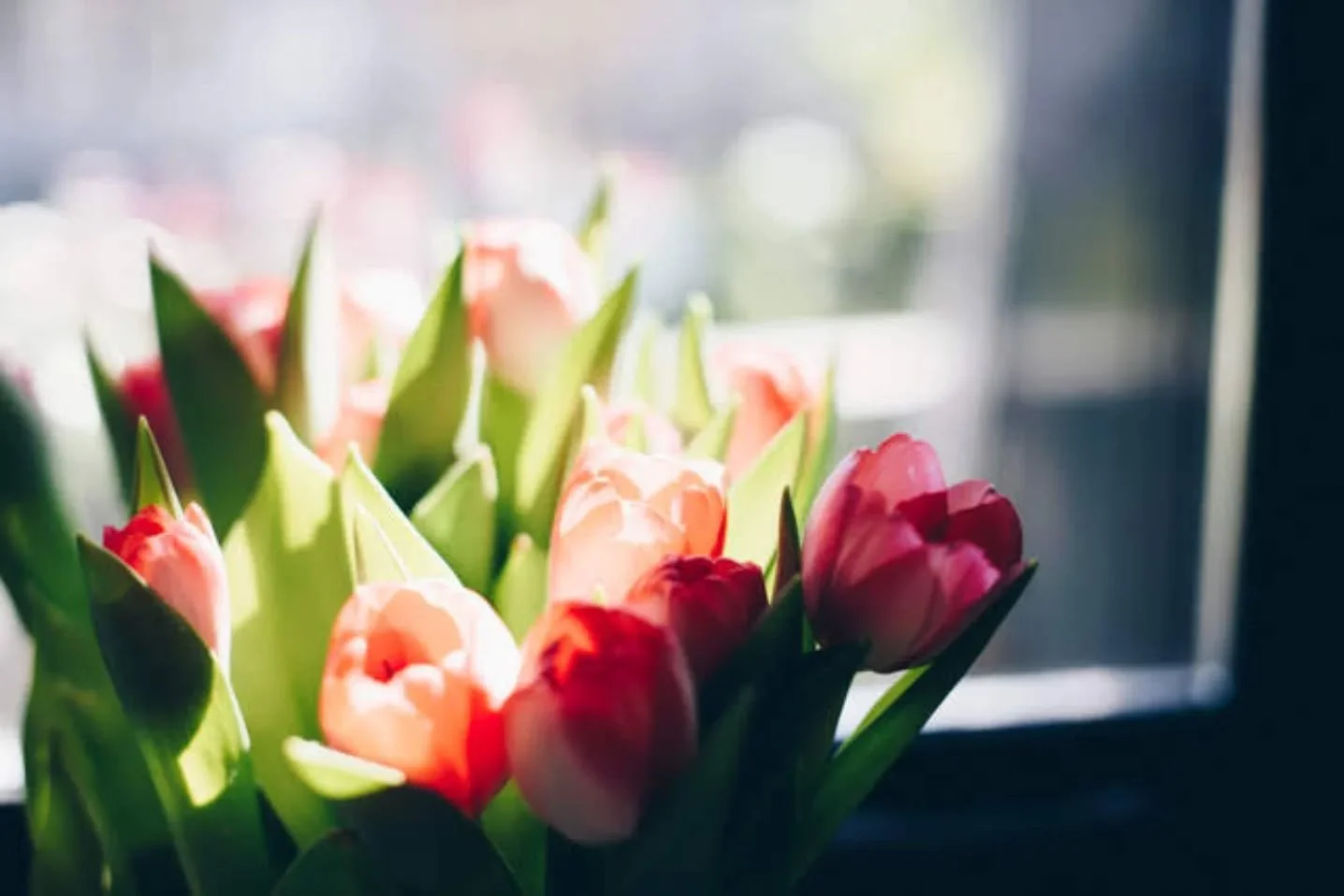 It's my birthday ❤️🐈&zwj;⬛🫐