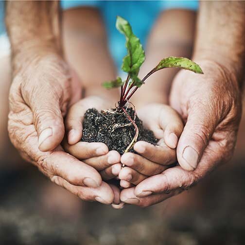 Weekly Coaching - 4 Sessions